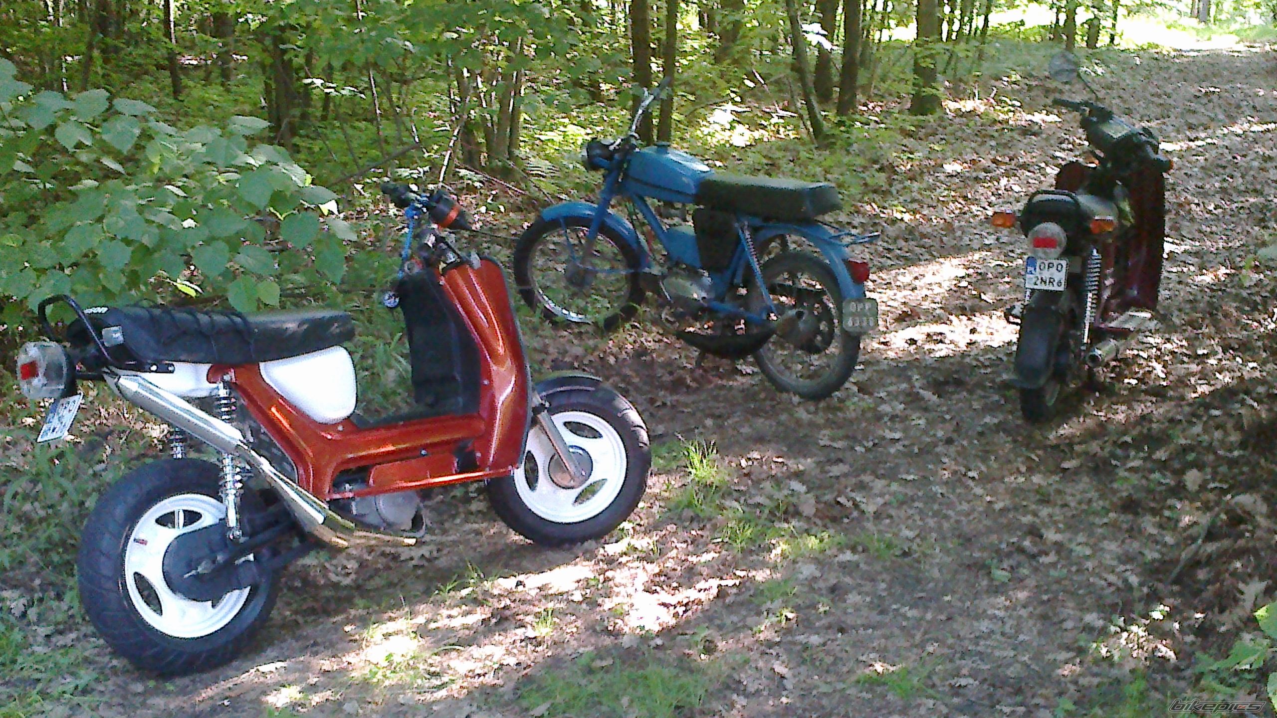 Photo 2562205
