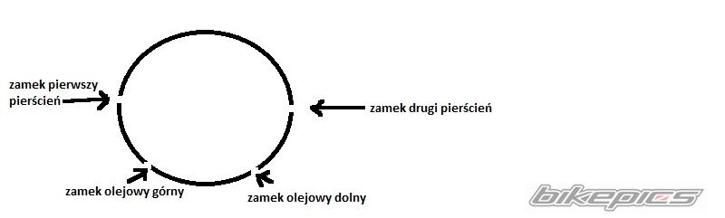 Photo 2562227