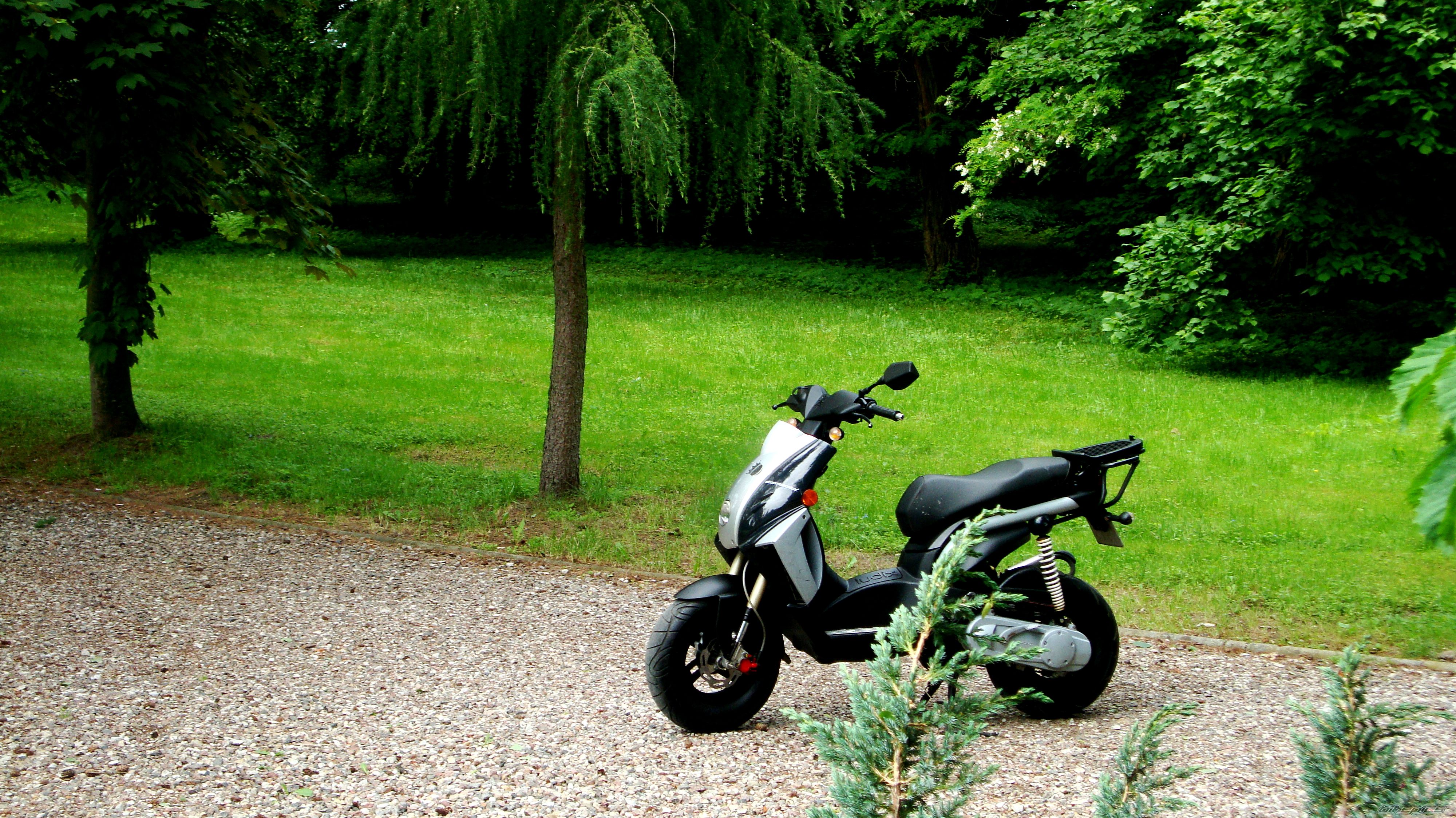 Photo 2562289