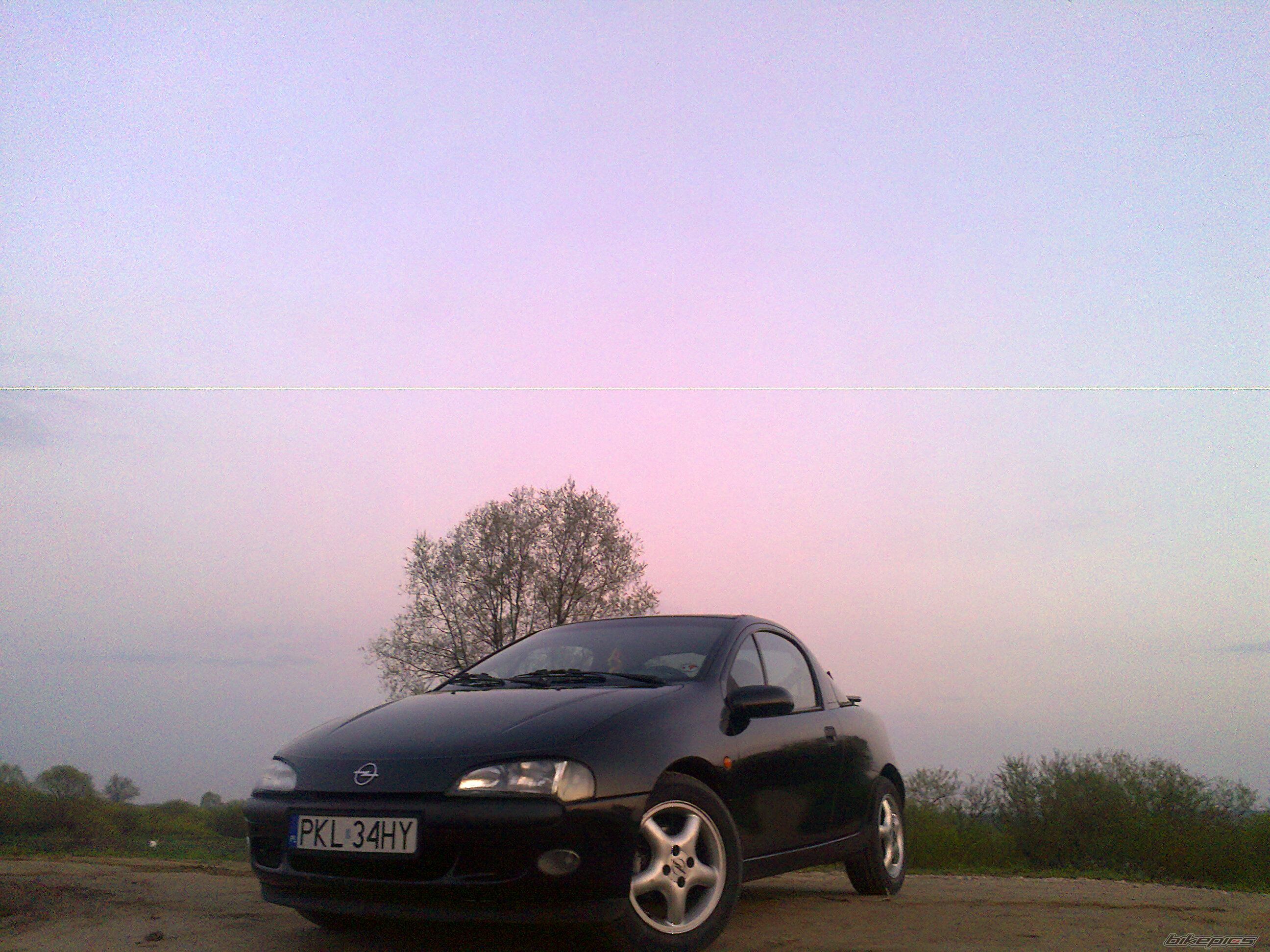 Photo 2562300