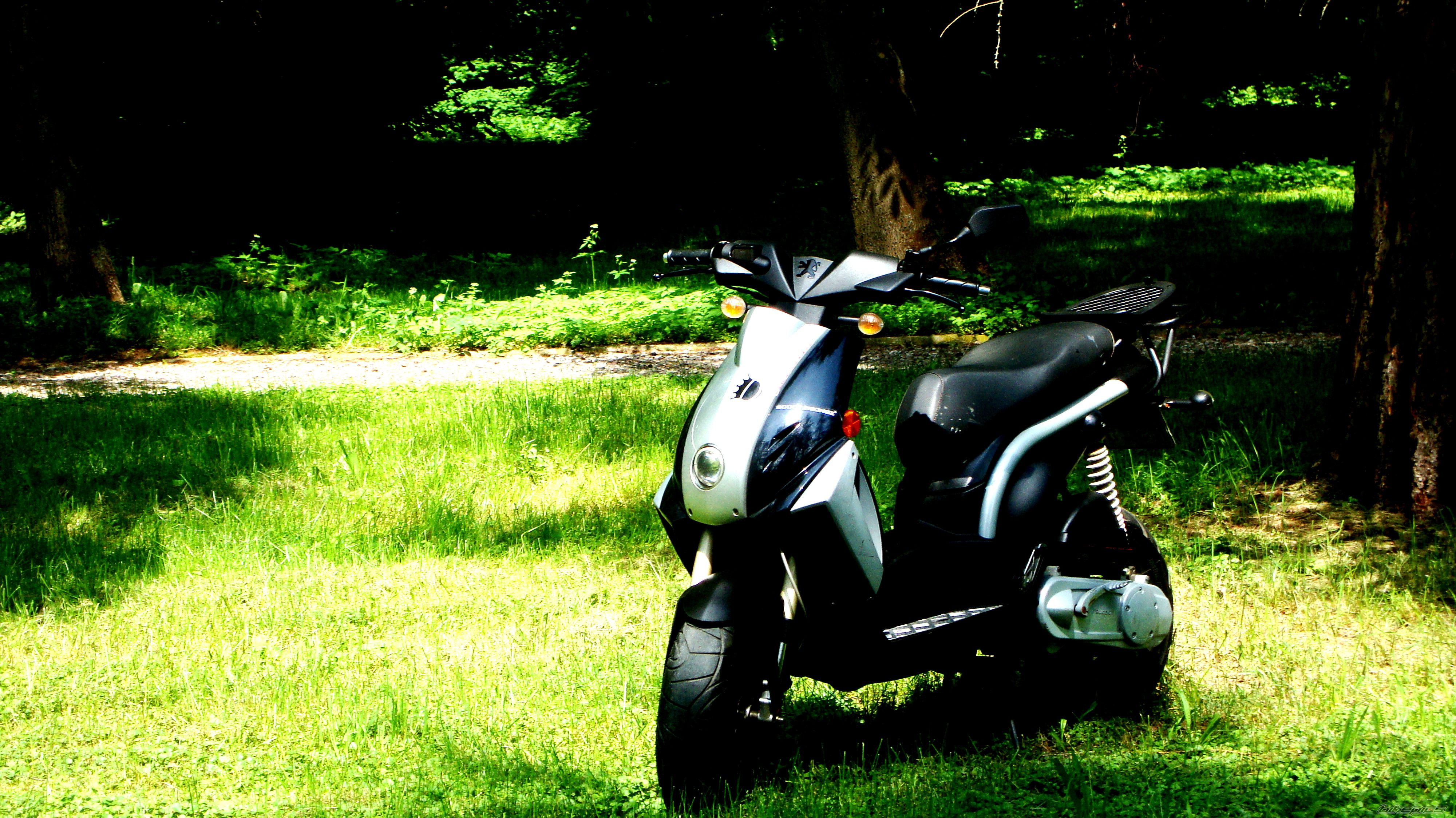 Photo 2562329