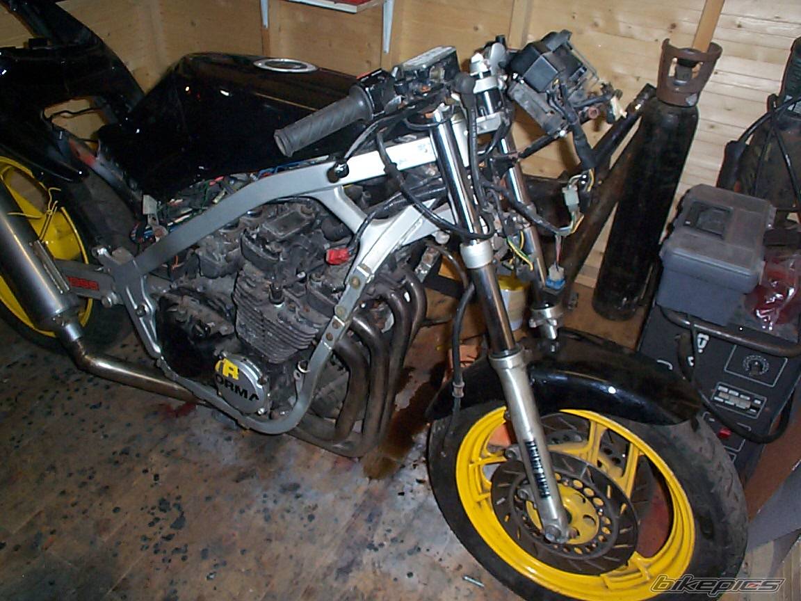 Bike Photo 256239