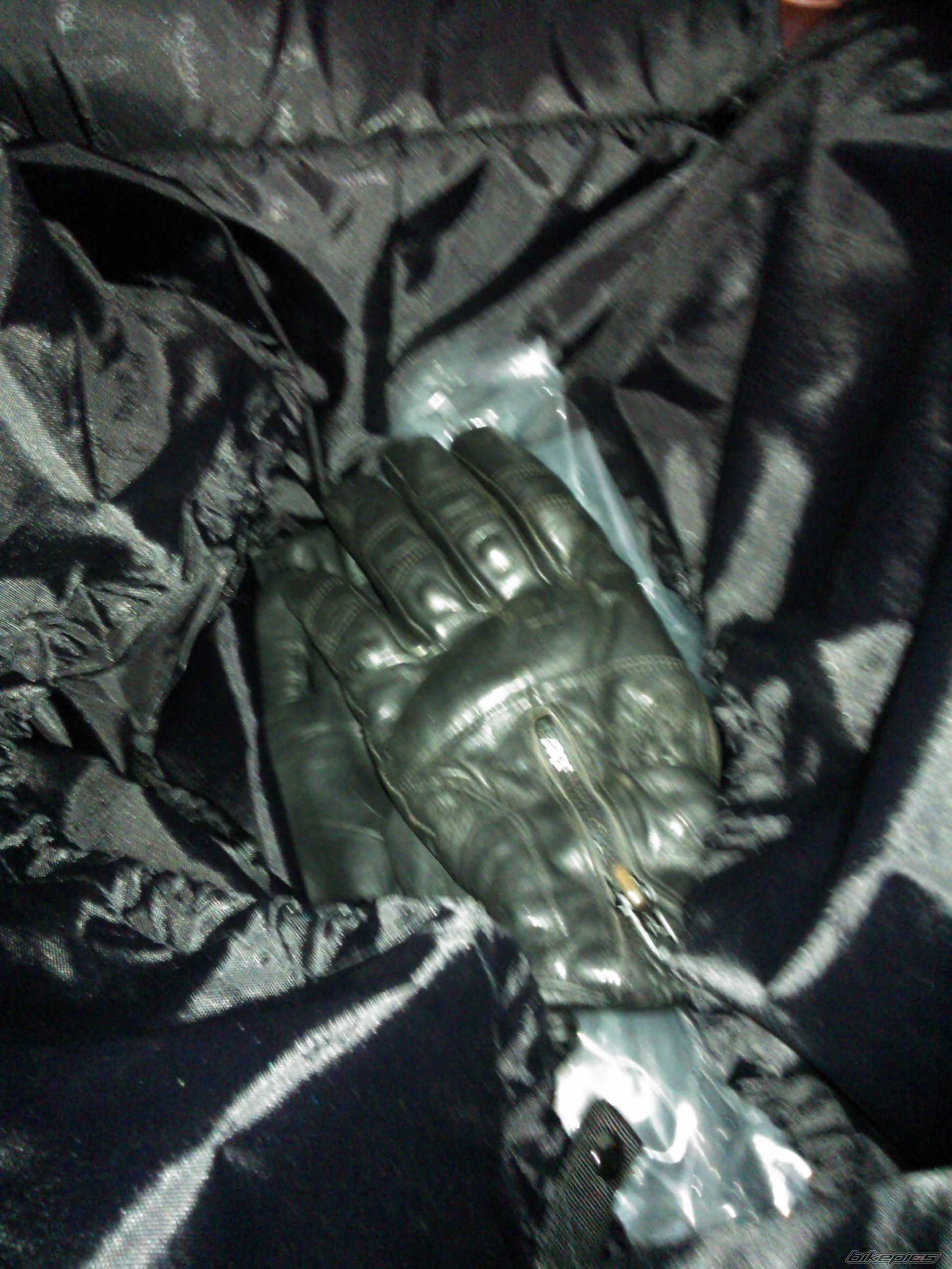 Photo 2562428