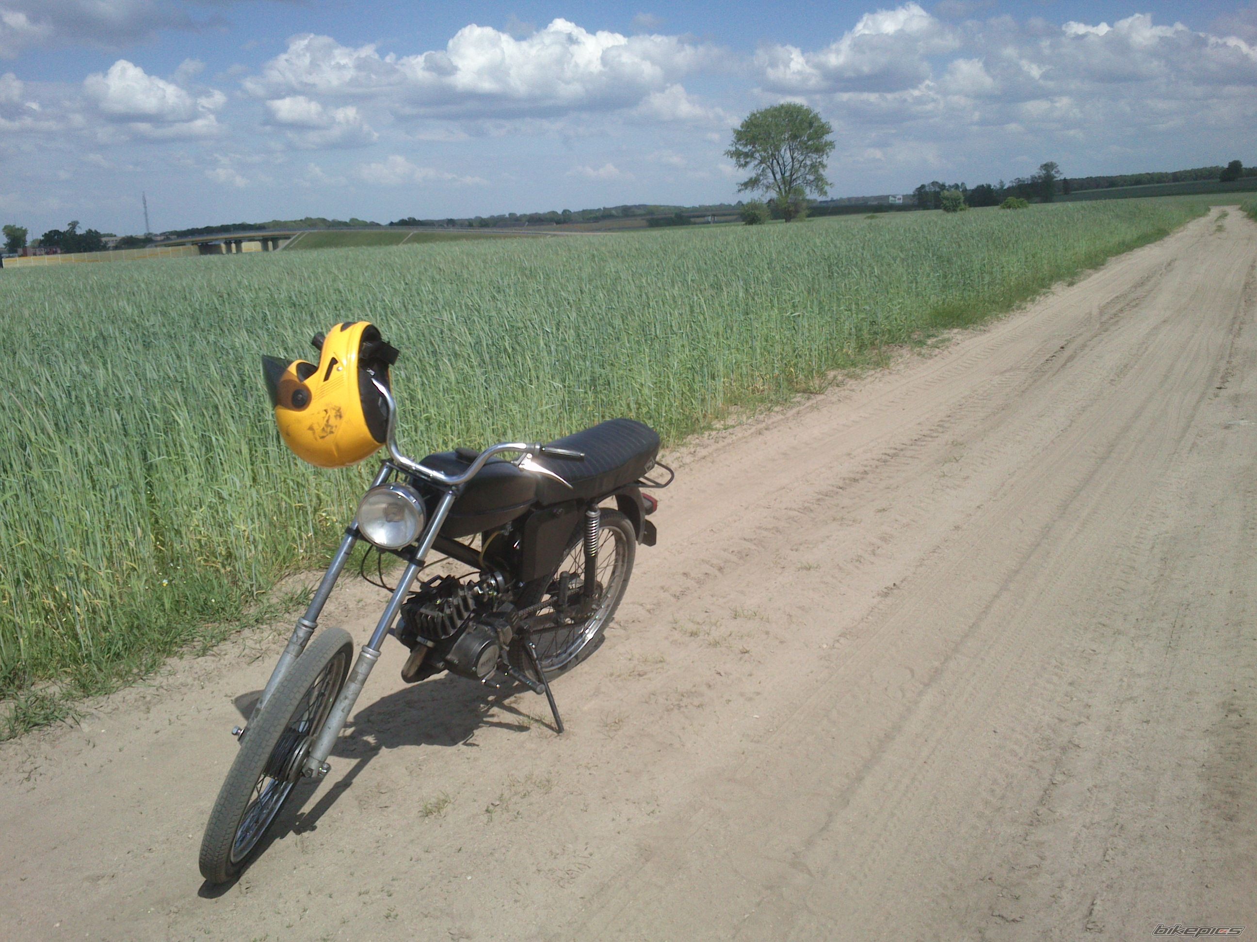 Photo 2562433
