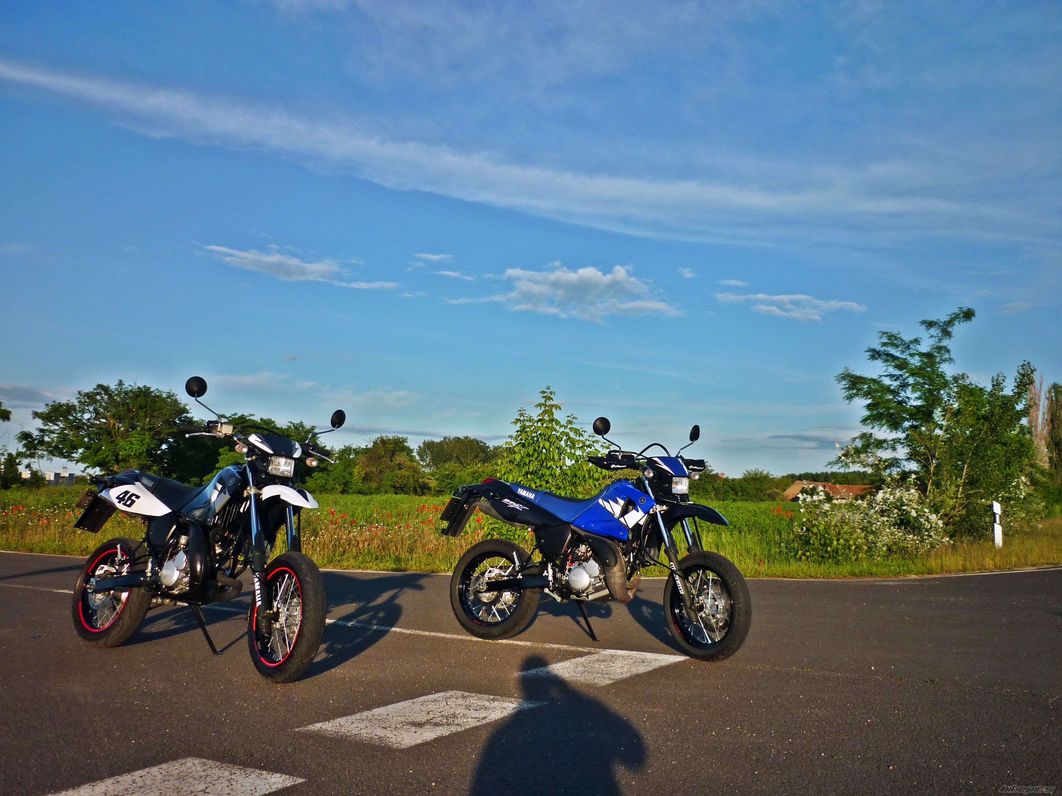 Photo 2562488
