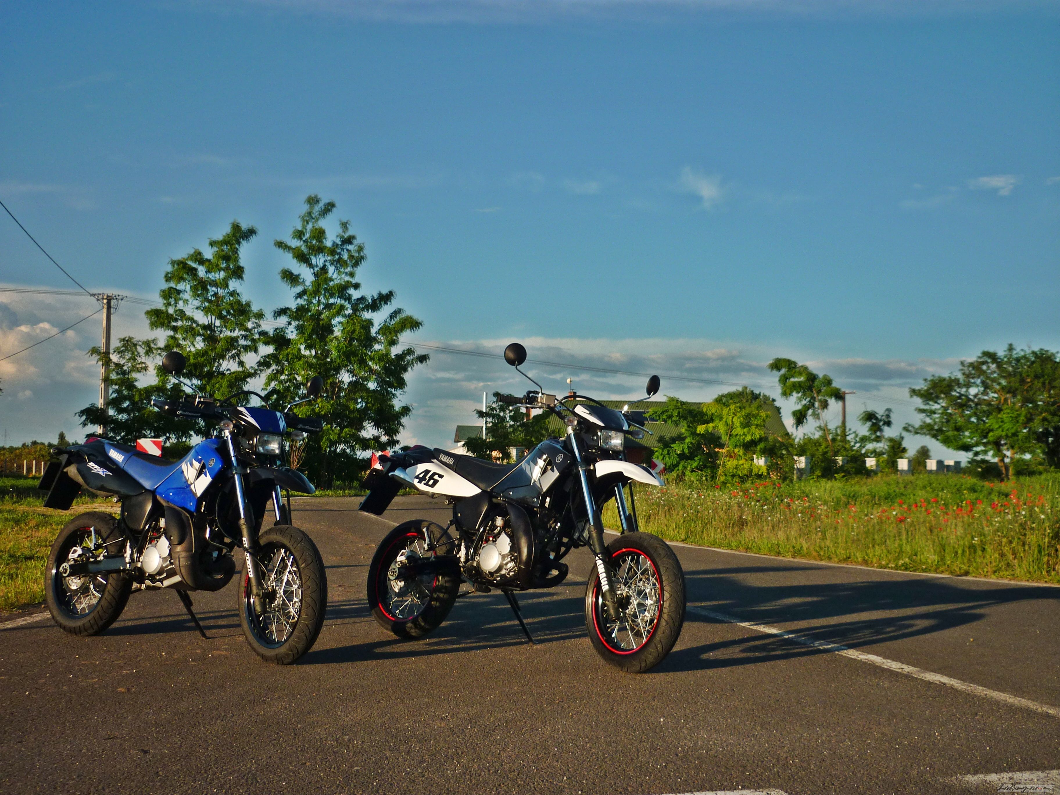 Photo 2562489