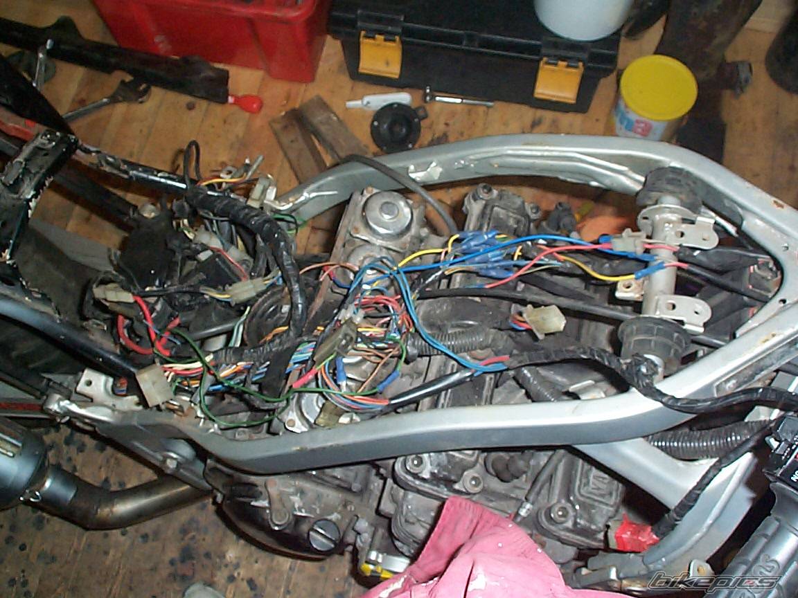 Bike Photo 256251