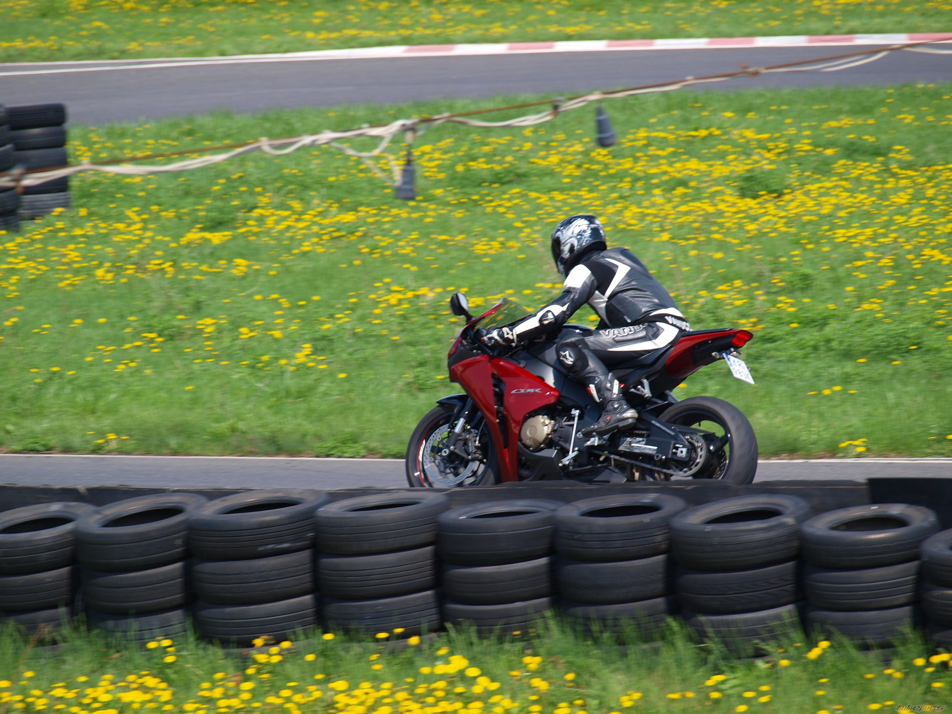 Photo 2562514