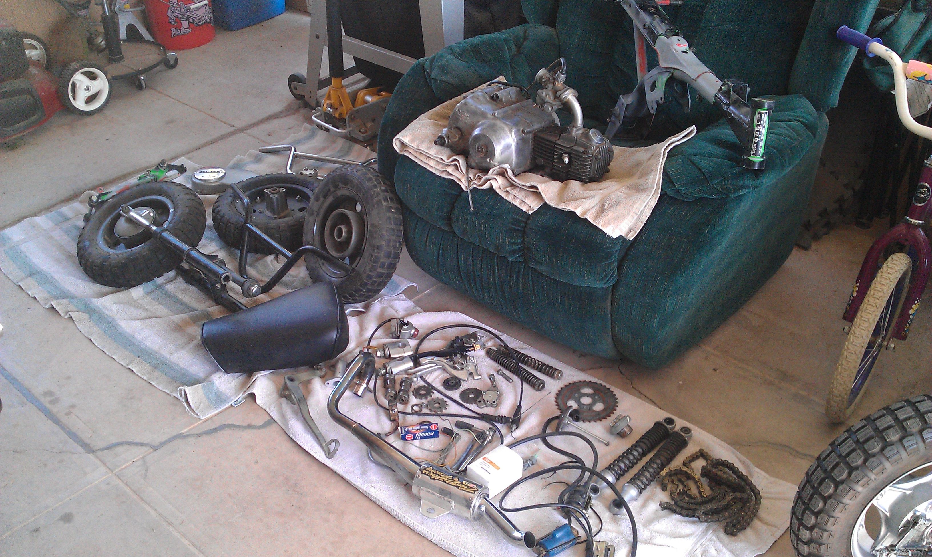 Photo 2562533