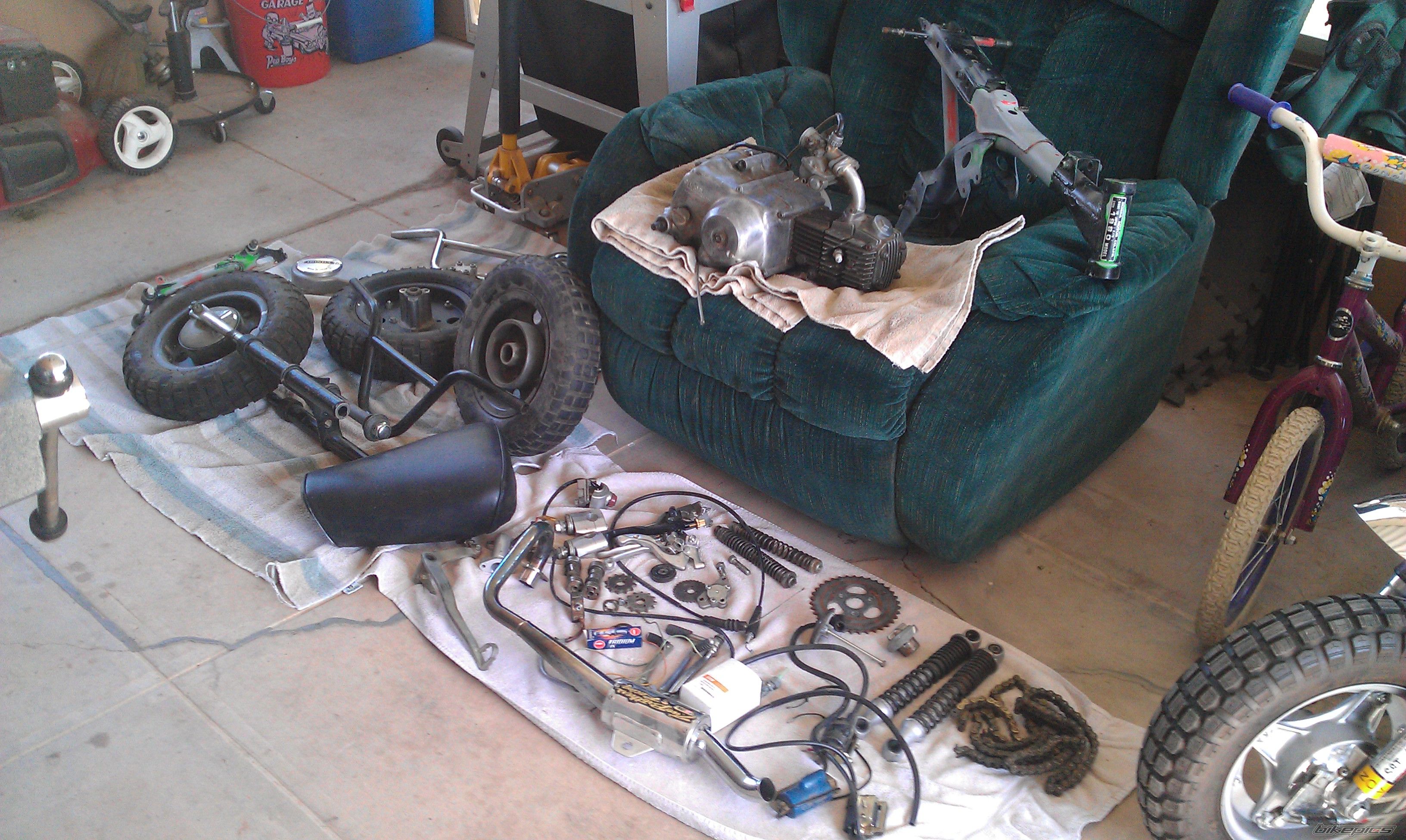 Photo 2562534