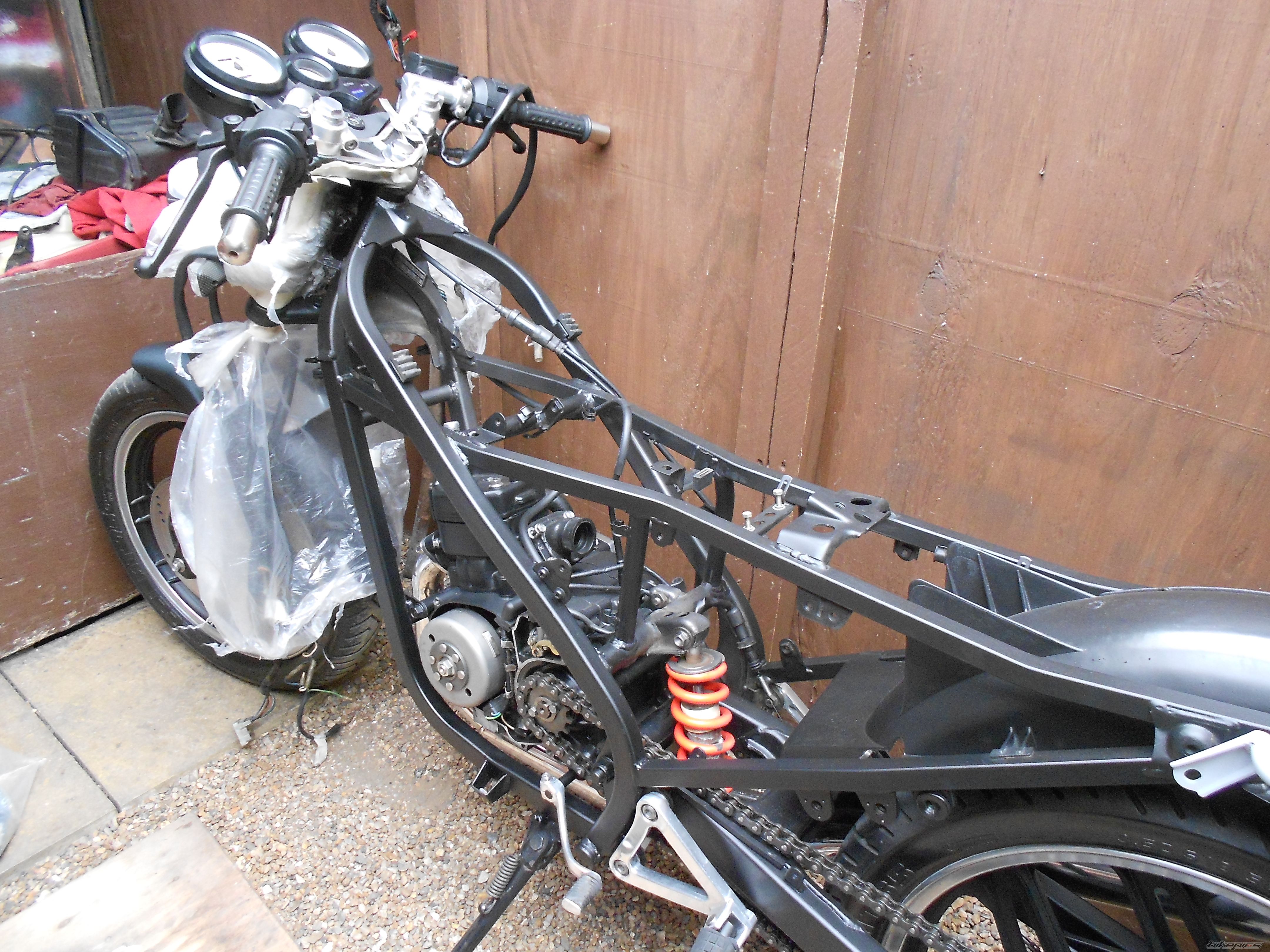 Photo 2562556