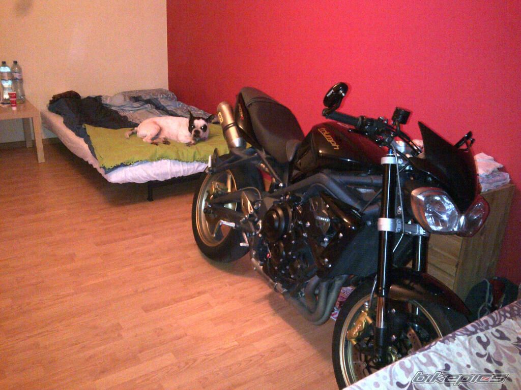 Bike Photo 2562592
