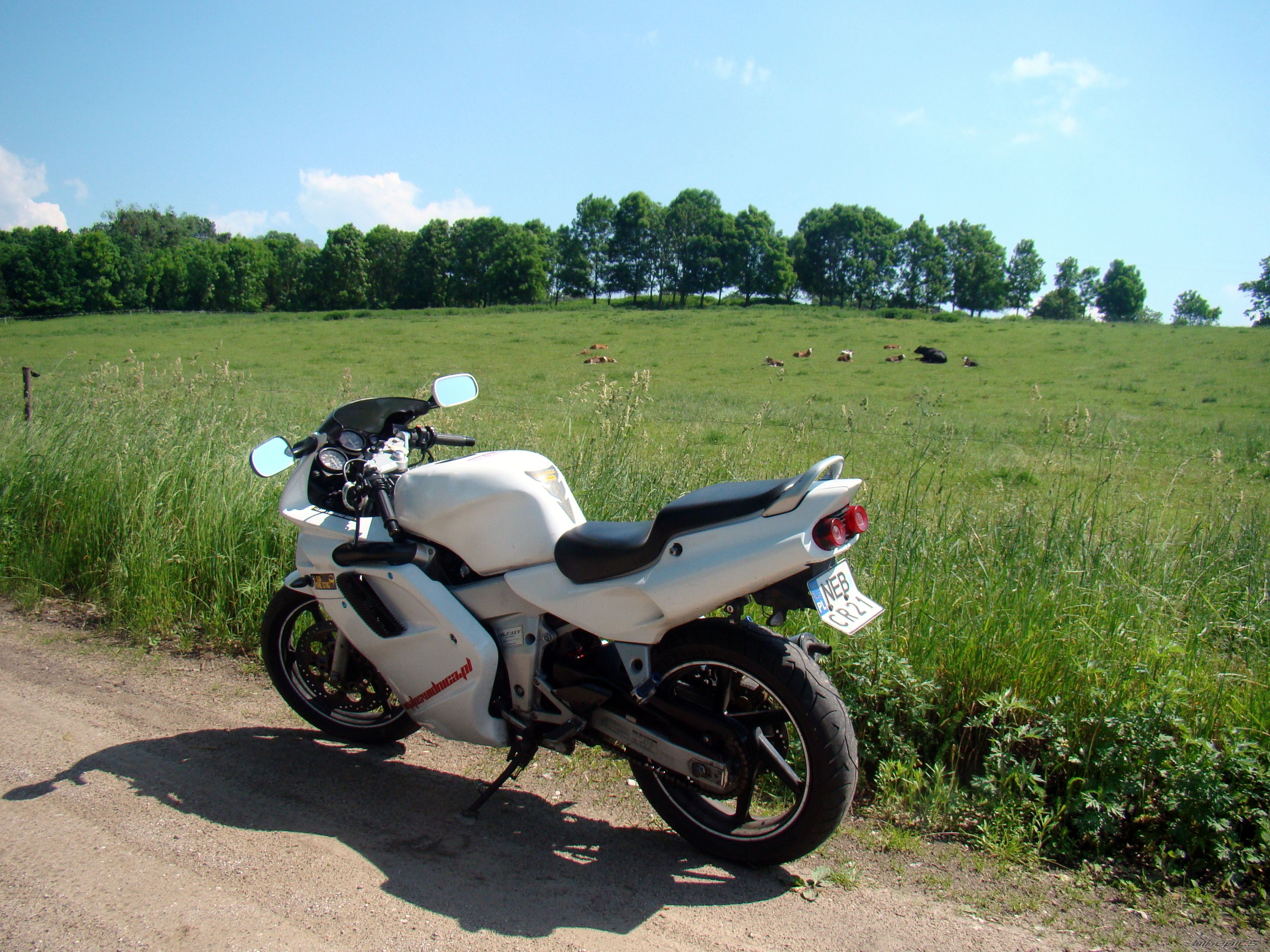 Photo 2562634