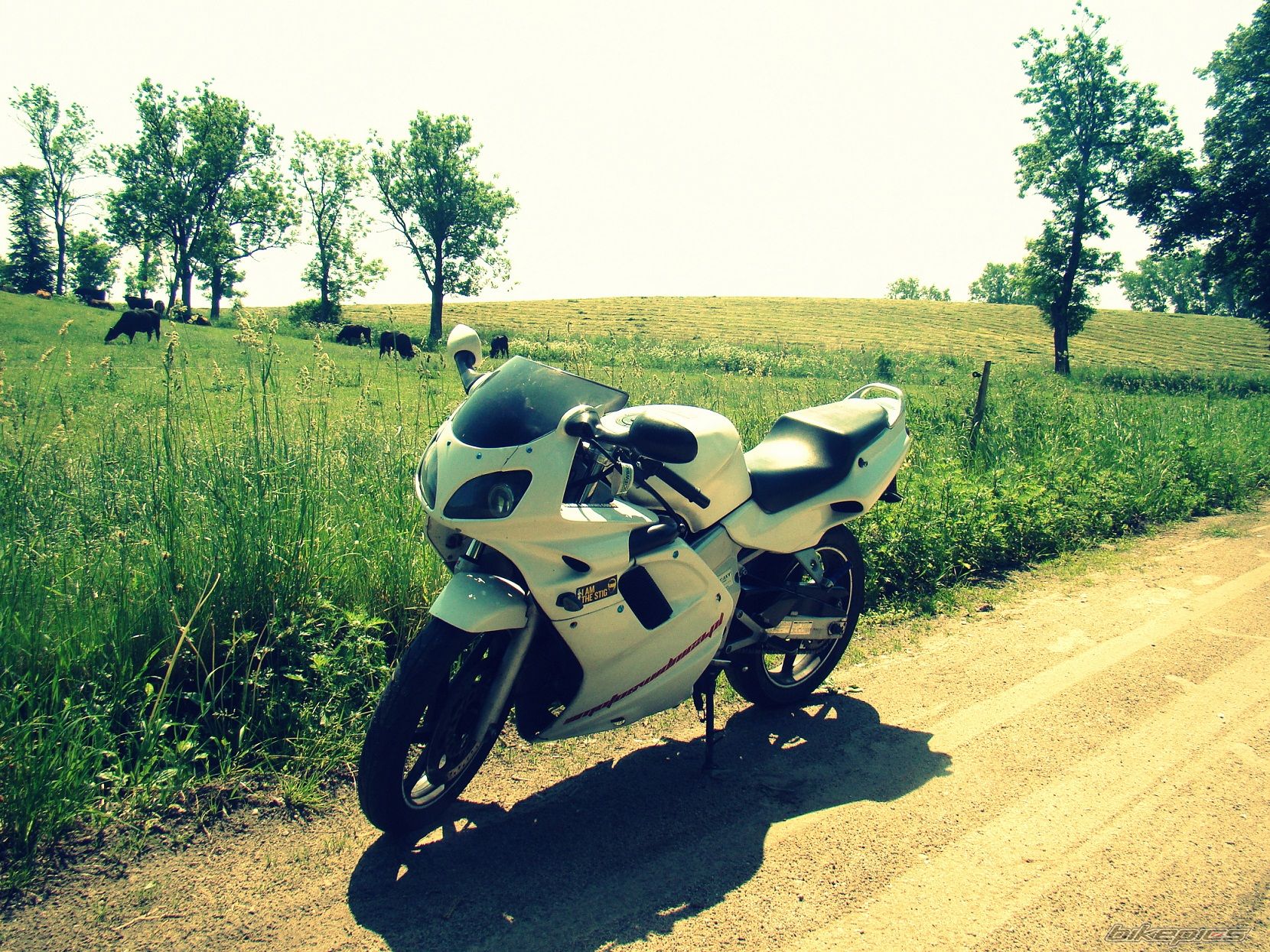 Photo 2562635