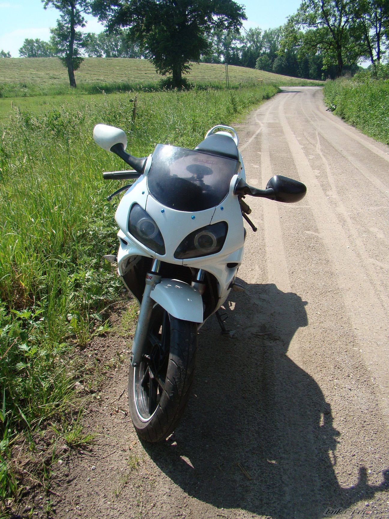 Photo 2562636