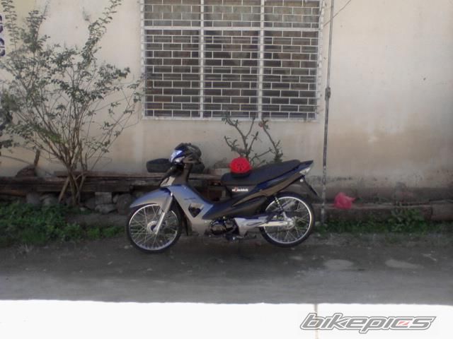 Photo 2562651