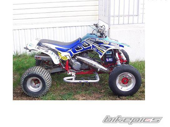 Photo 256268