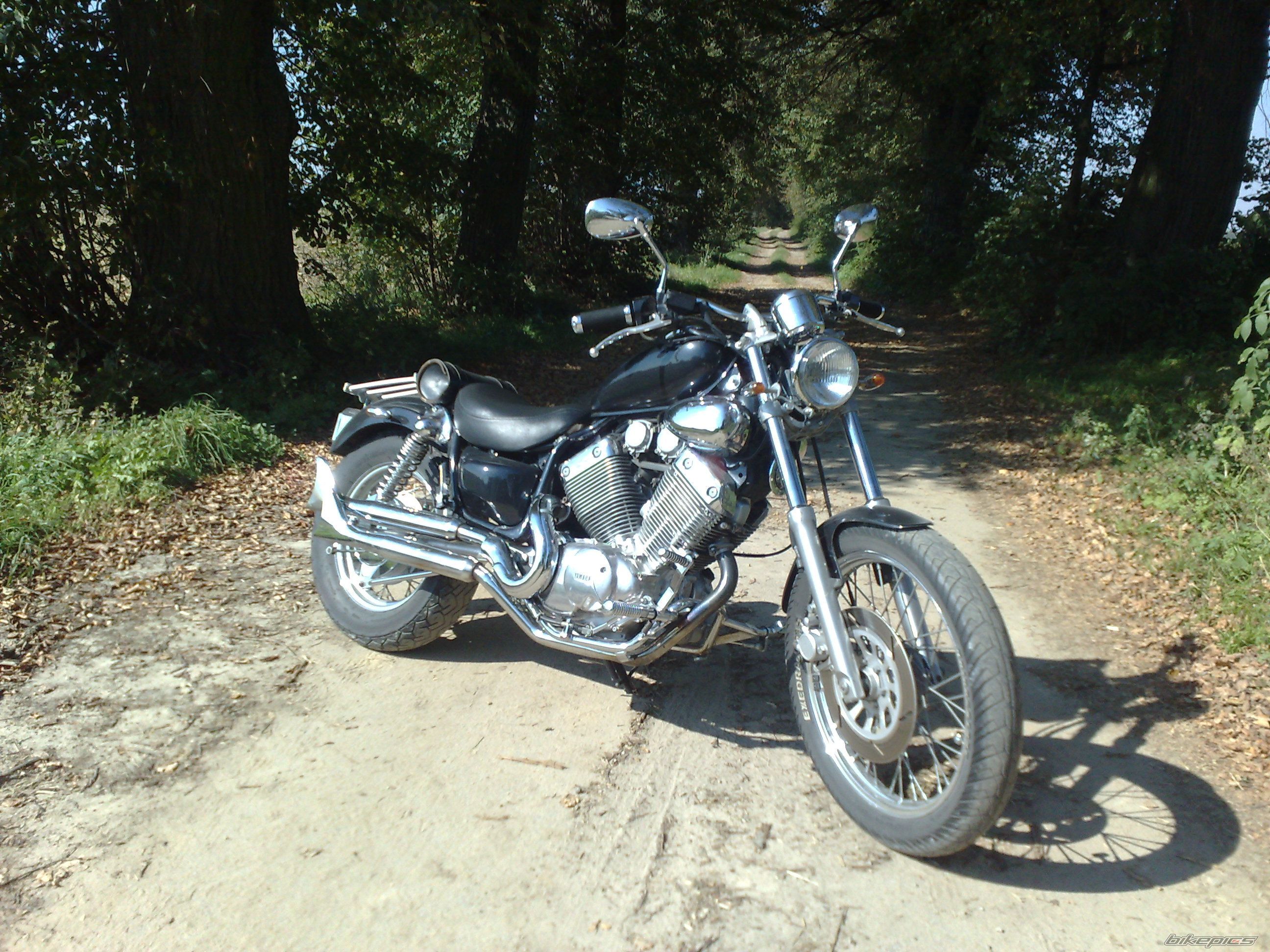 Photo 2562698