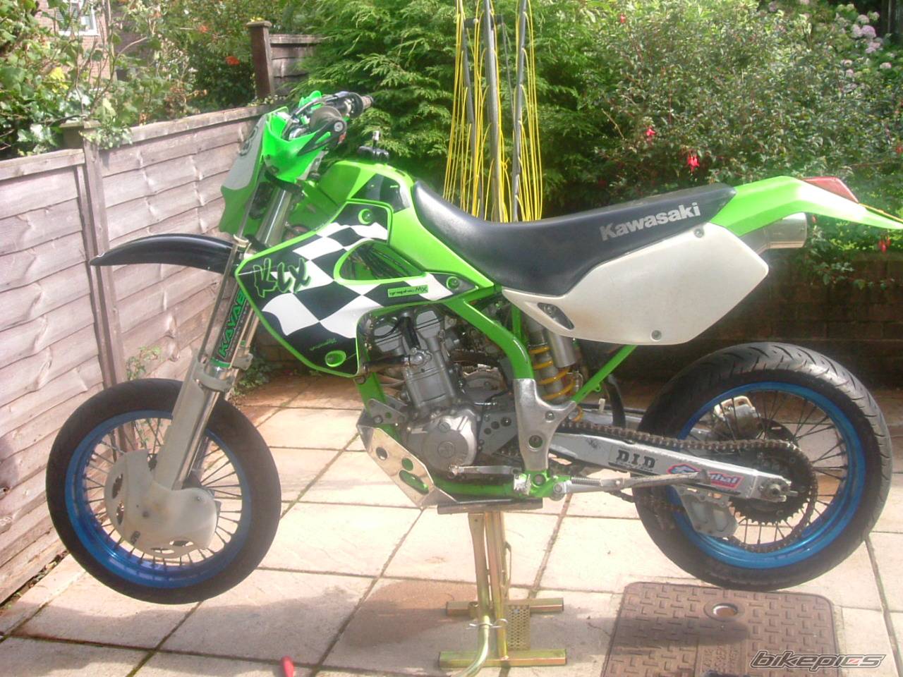 Photo 256273