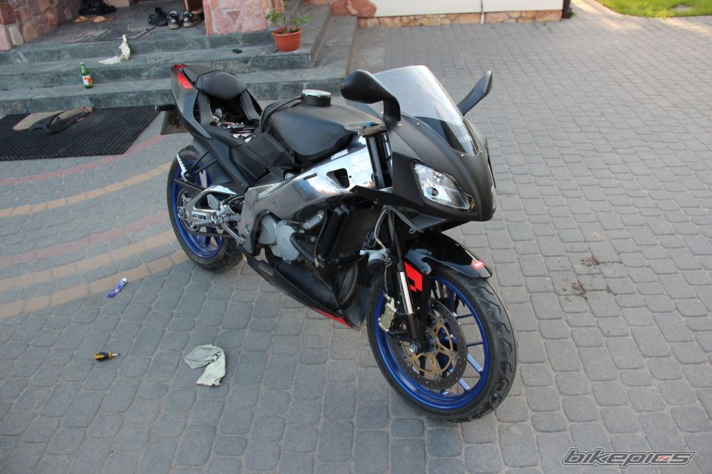 Photo 2562734