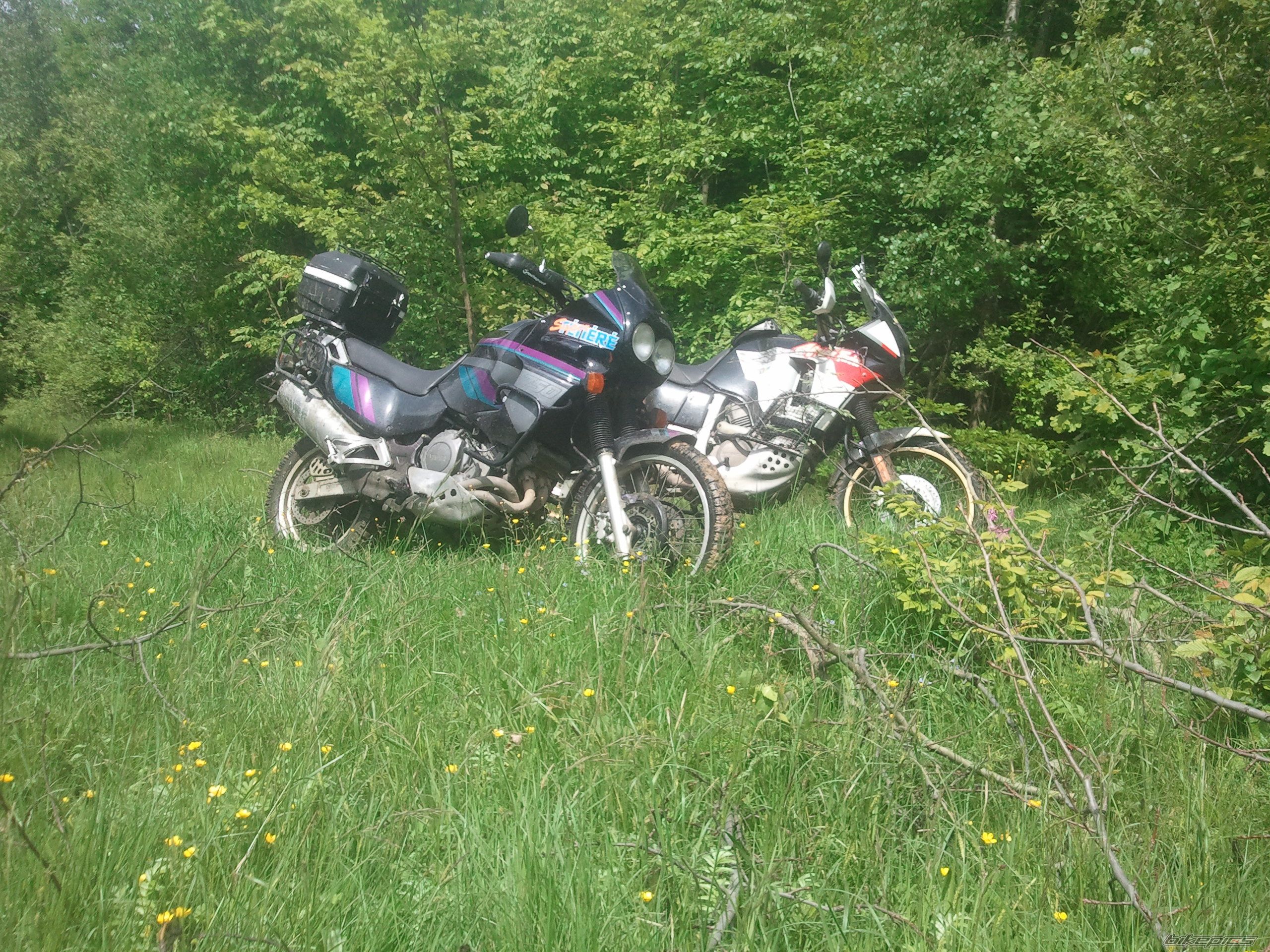 Photo 2562769