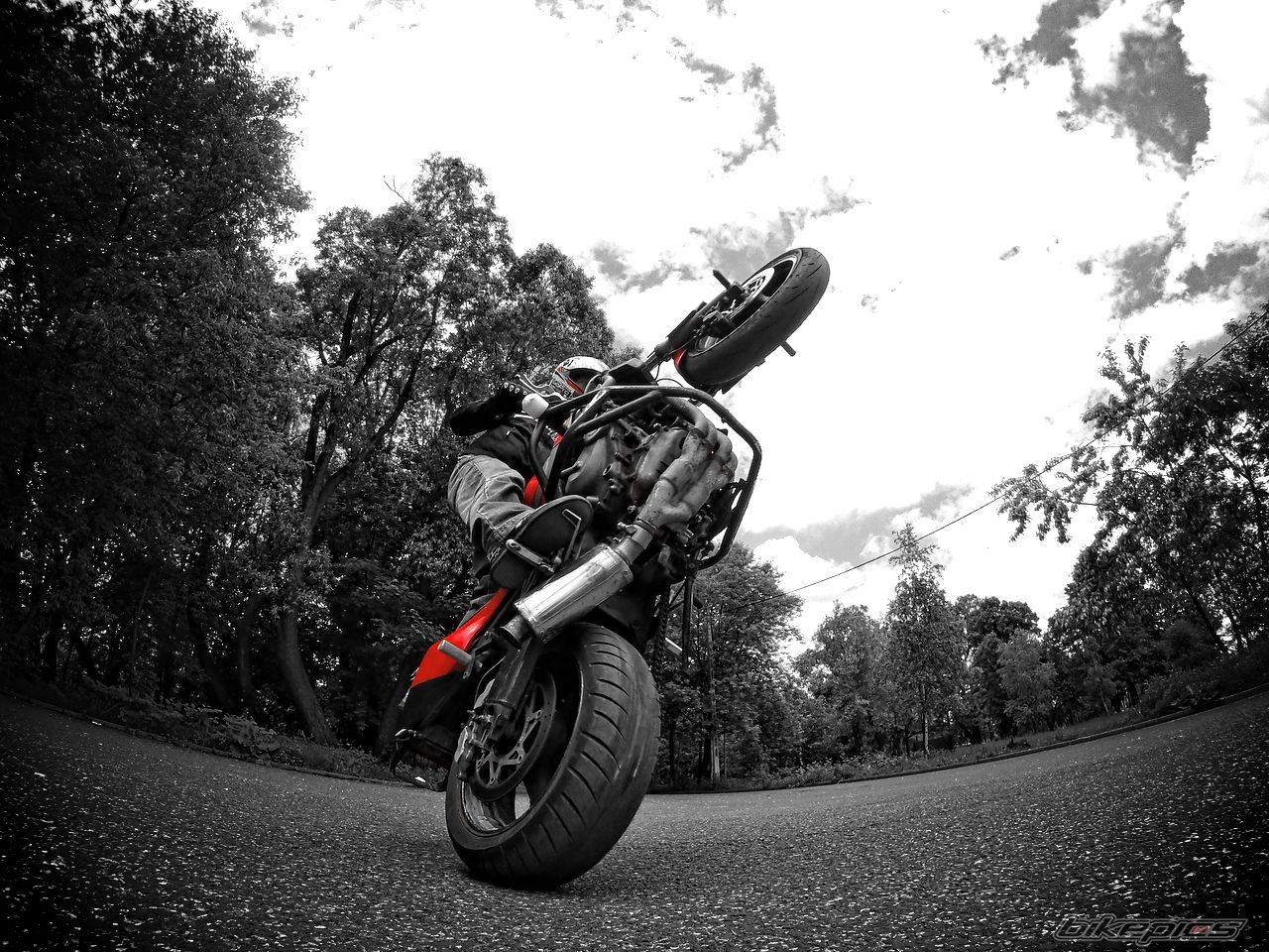 Photo 2562775