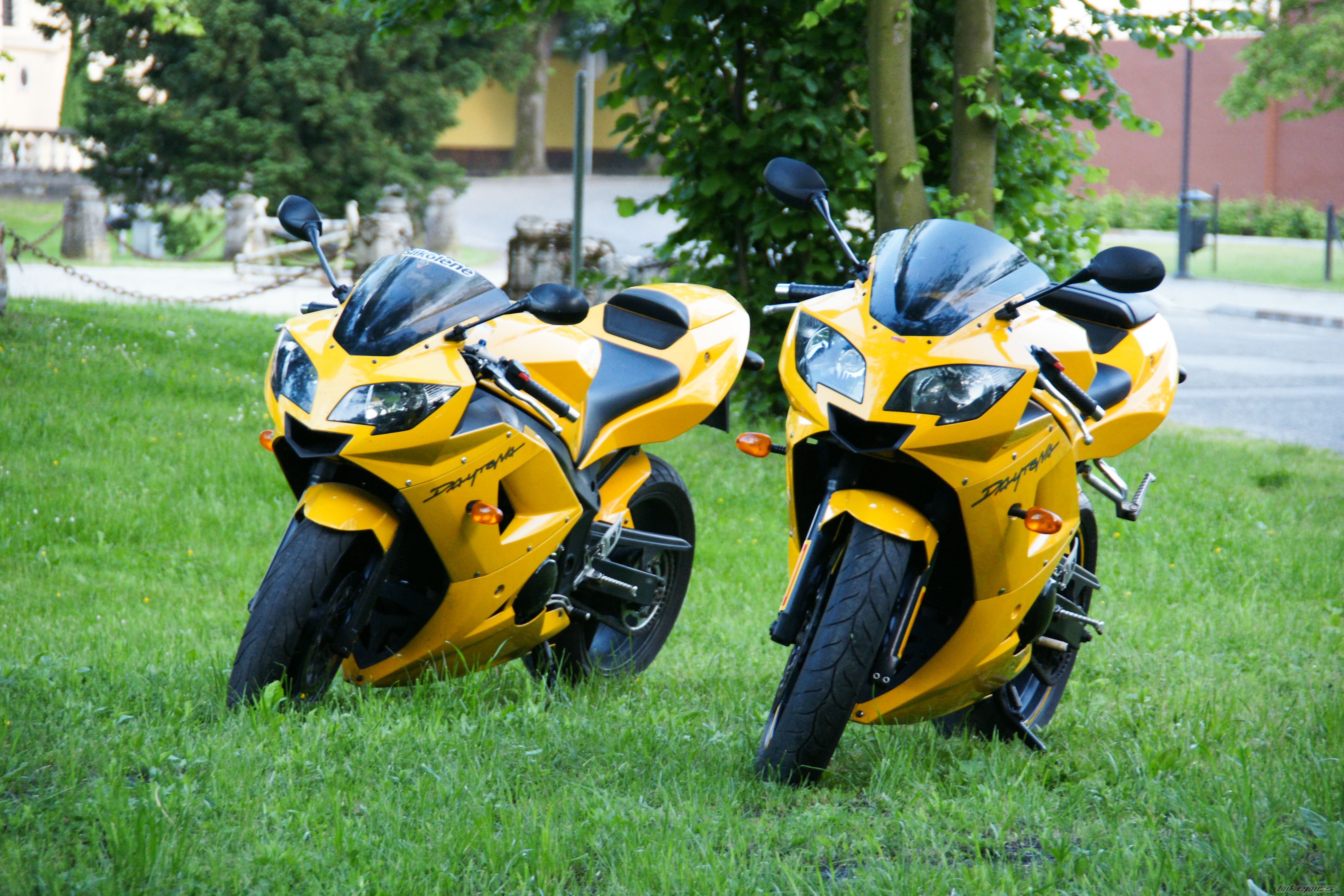 Photo 2562776