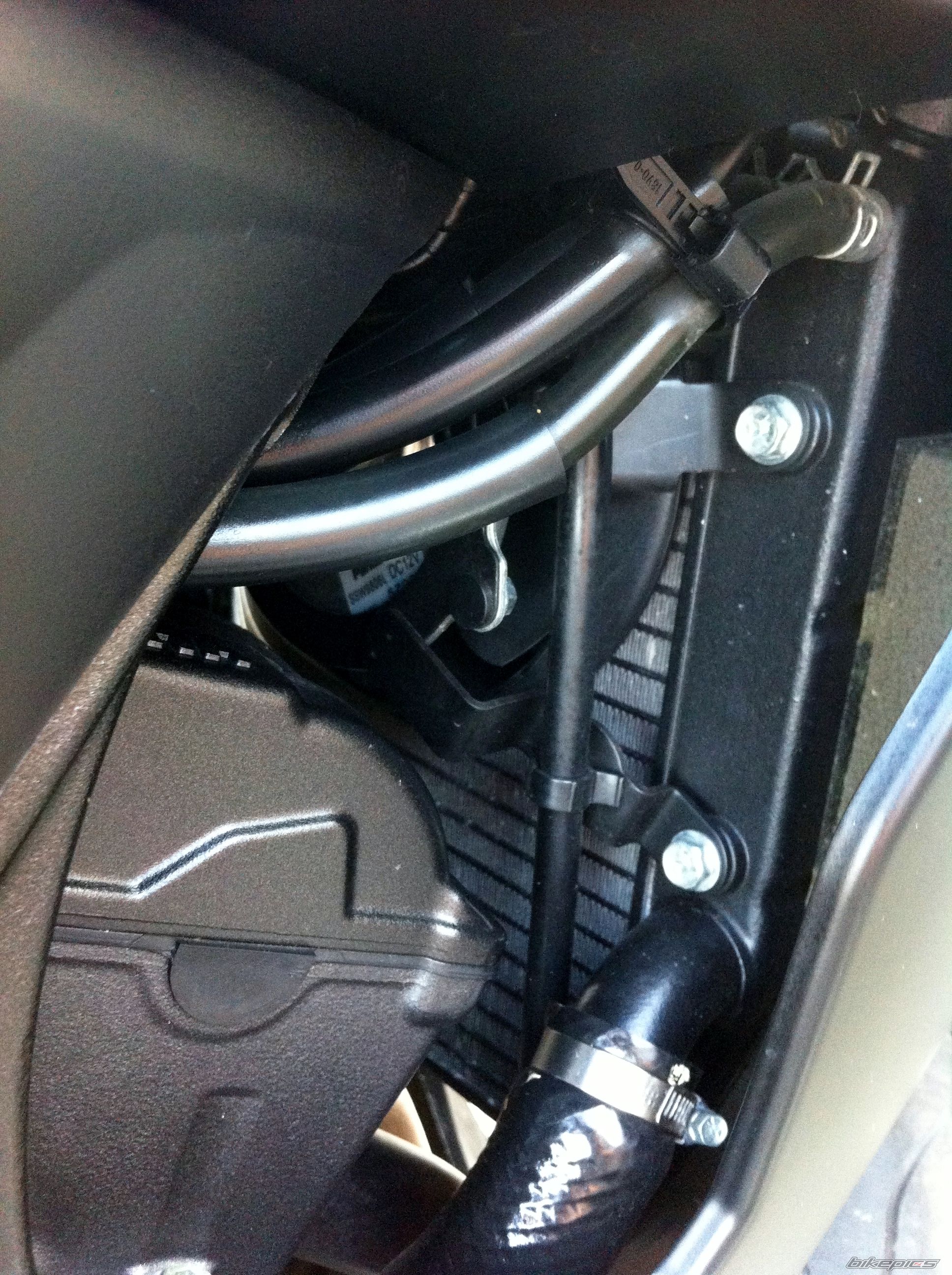Photo 2562873