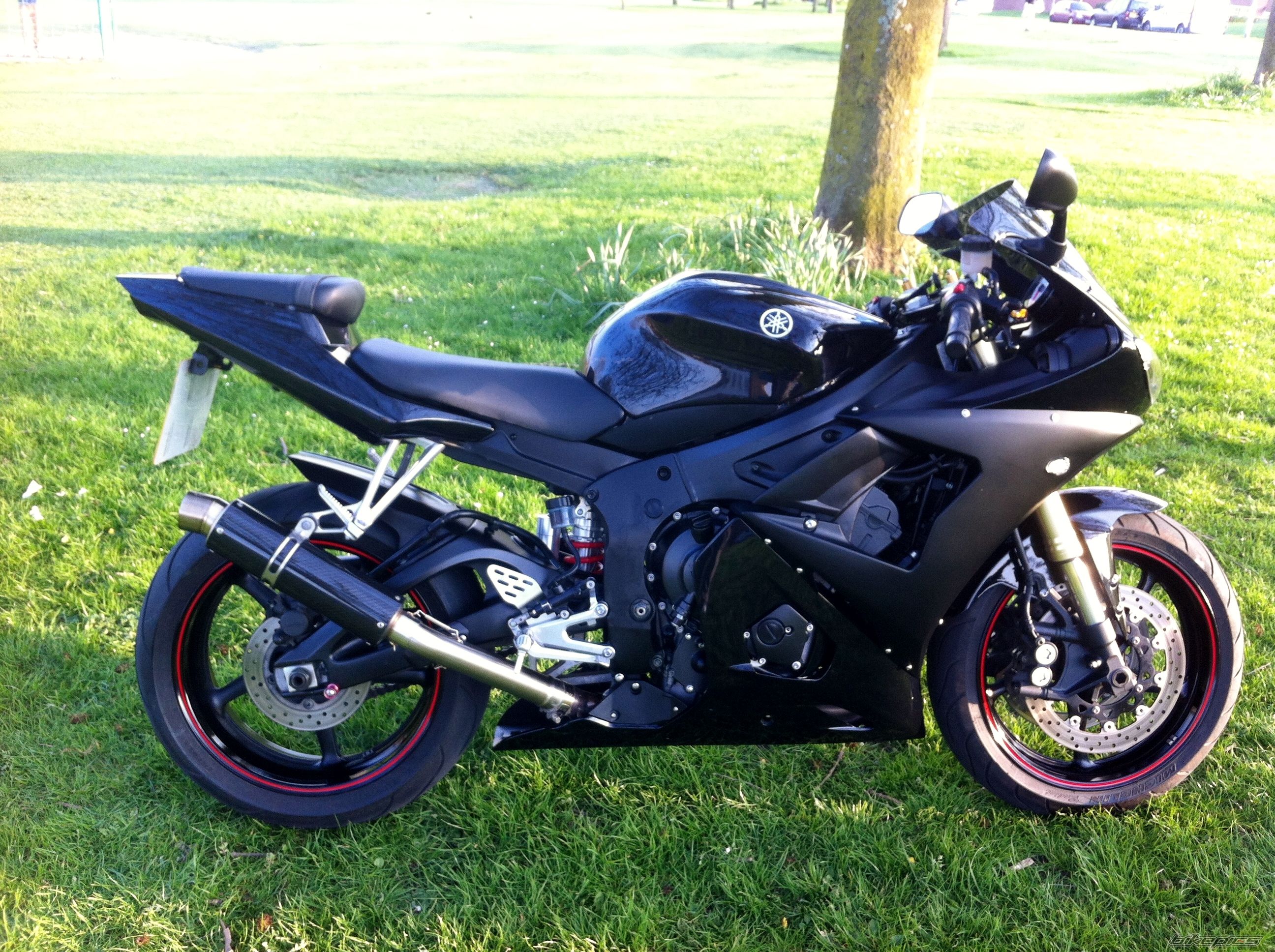 Photo 2562894