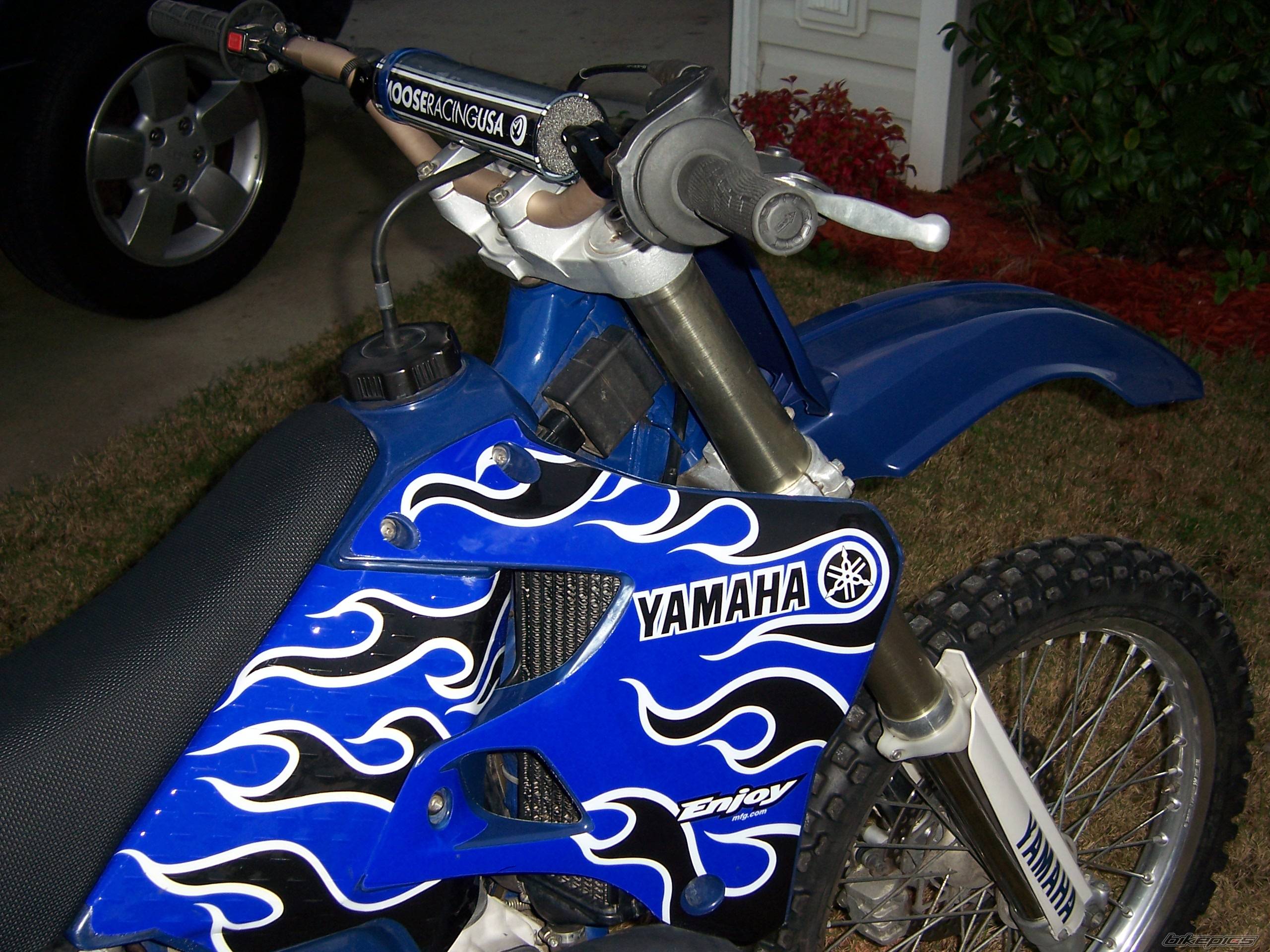 Photo 256290