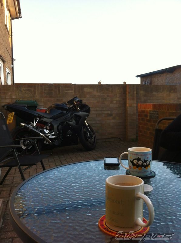 Photo 2562908