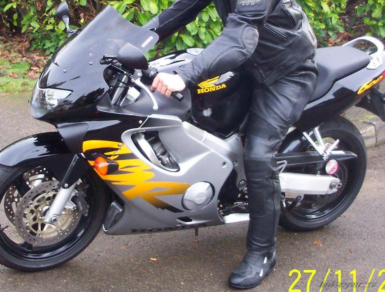 Photo 256293