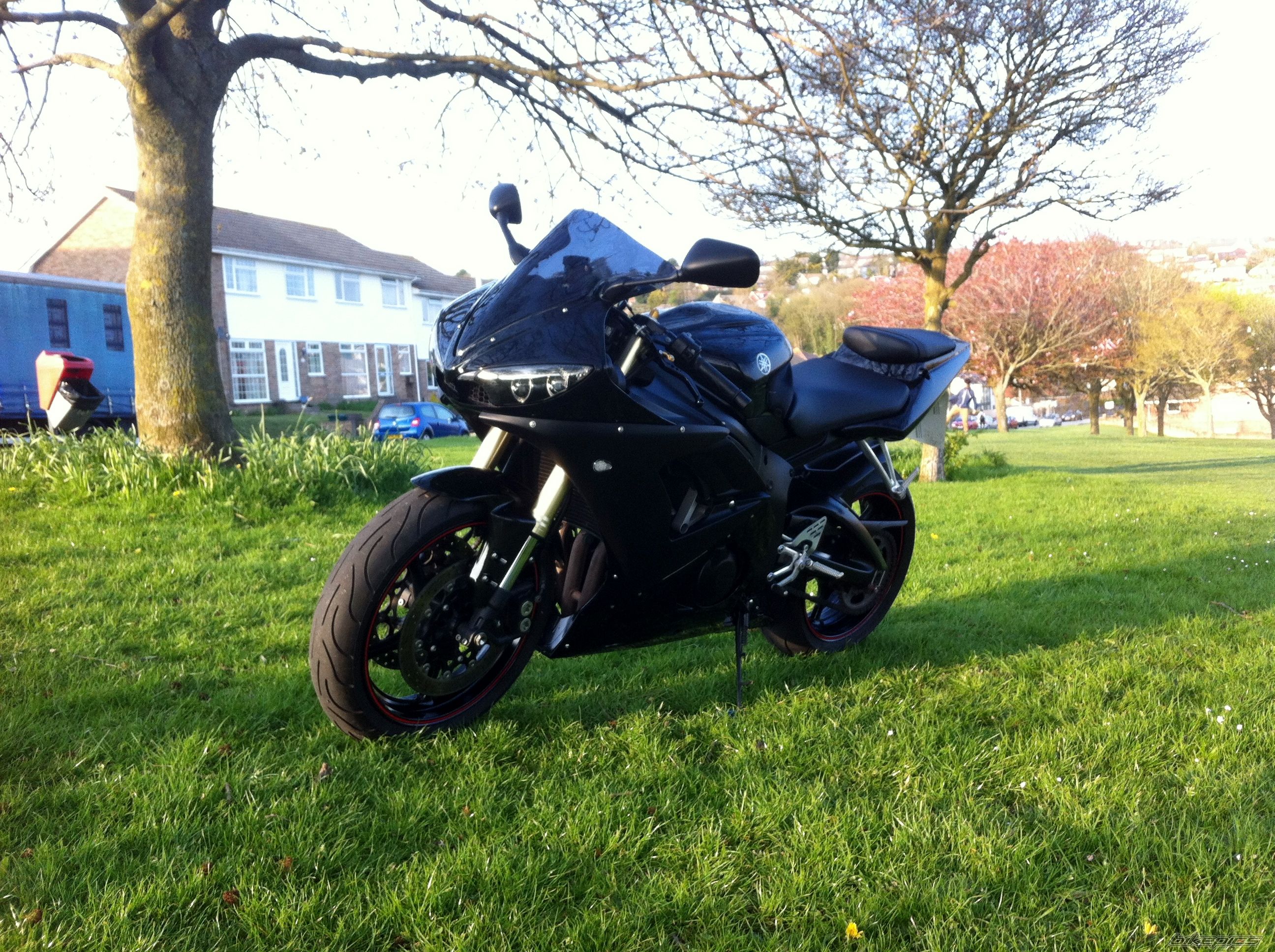 Photo 2562947