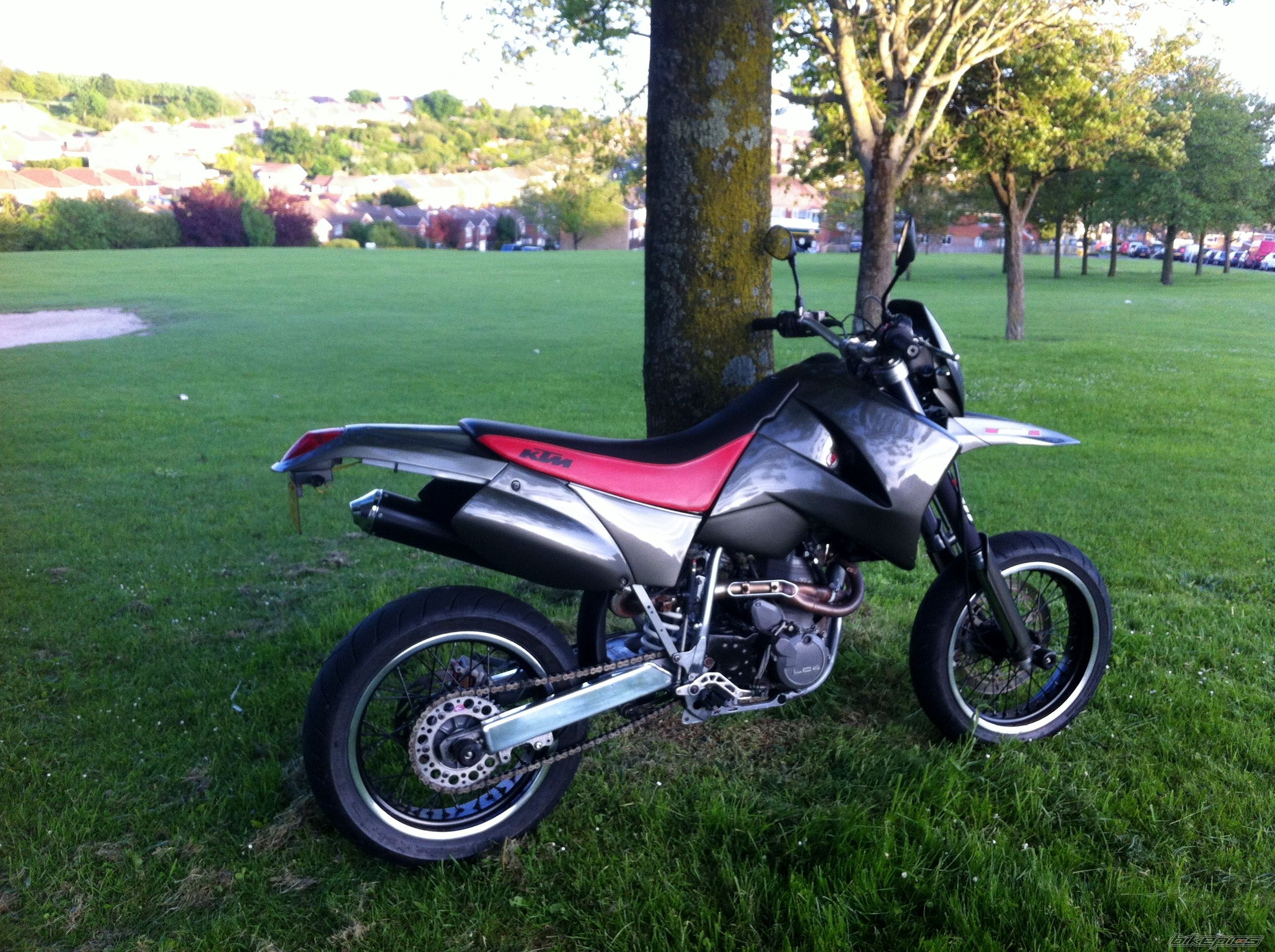 Photo 2562954