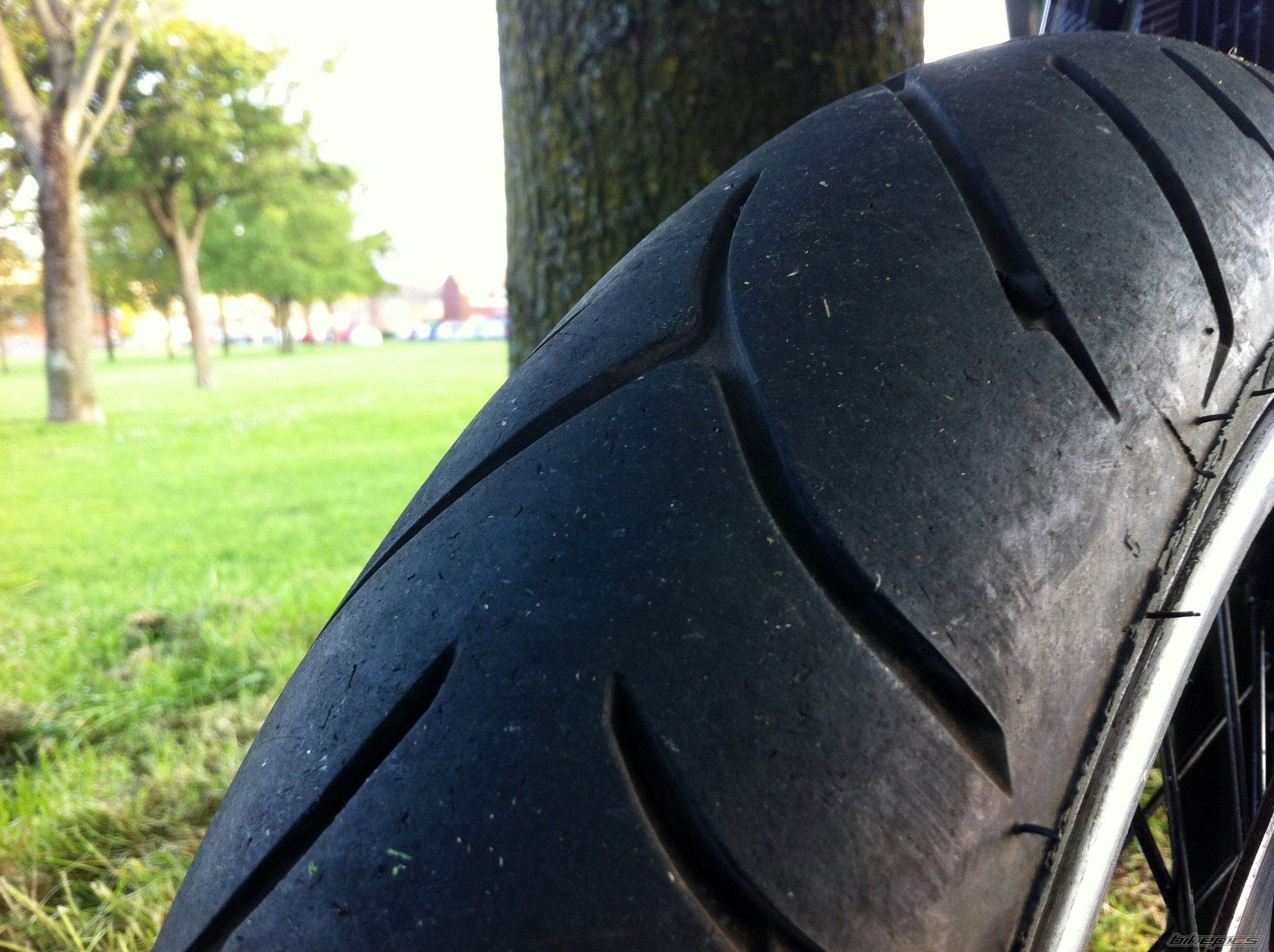 Photo 2562973
