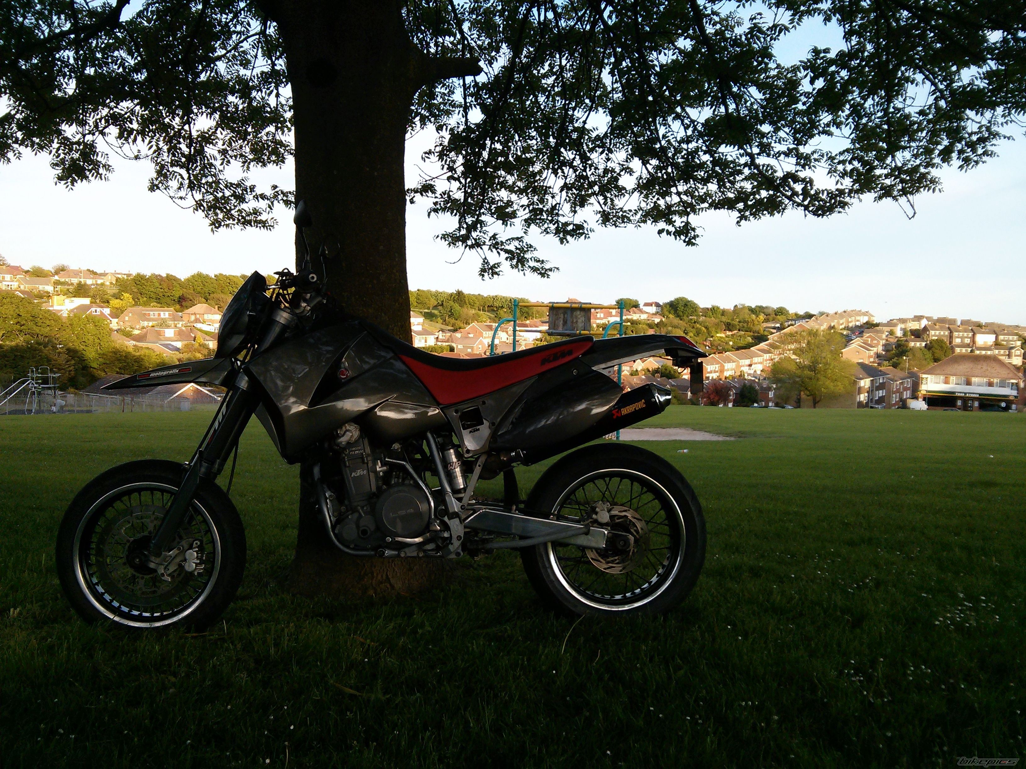 Photo 2562977