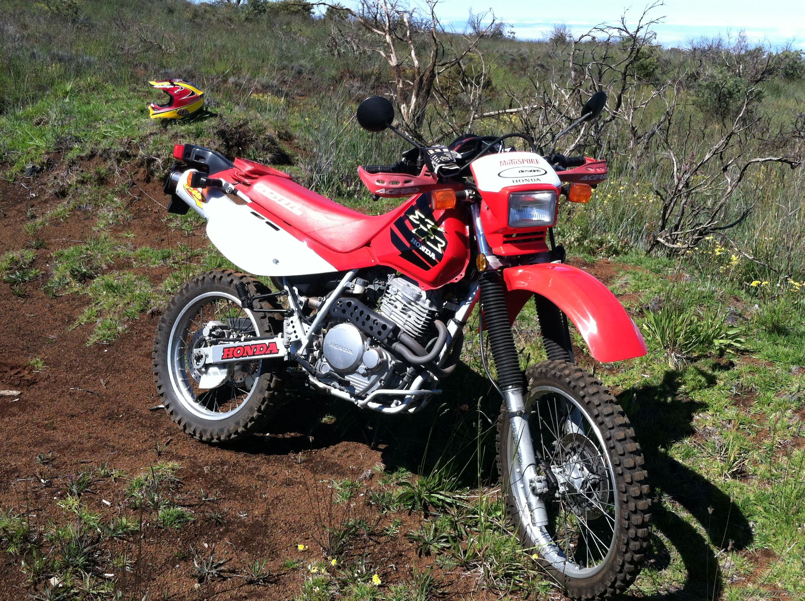 Photo 2562989