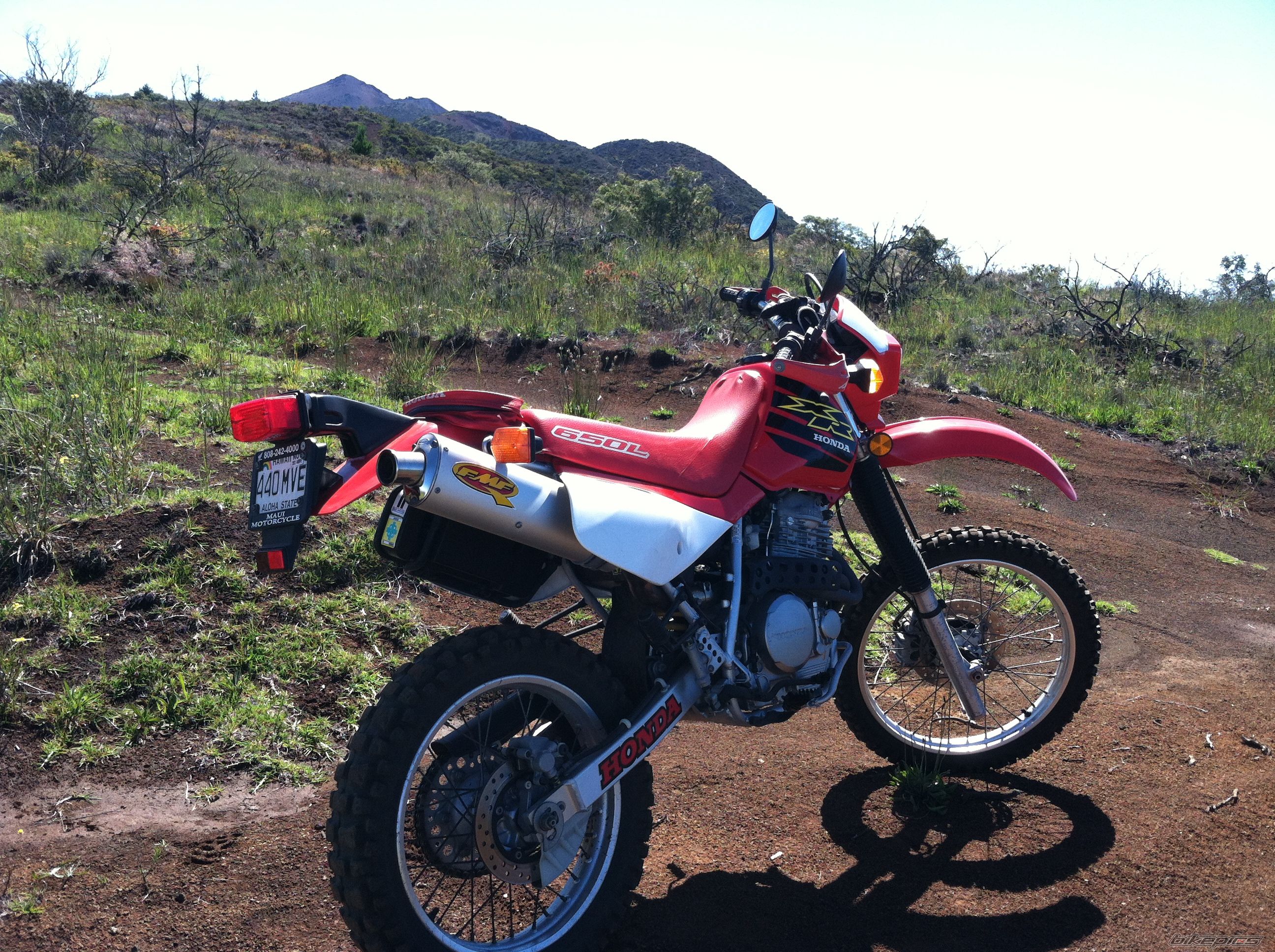 Photo 2562990