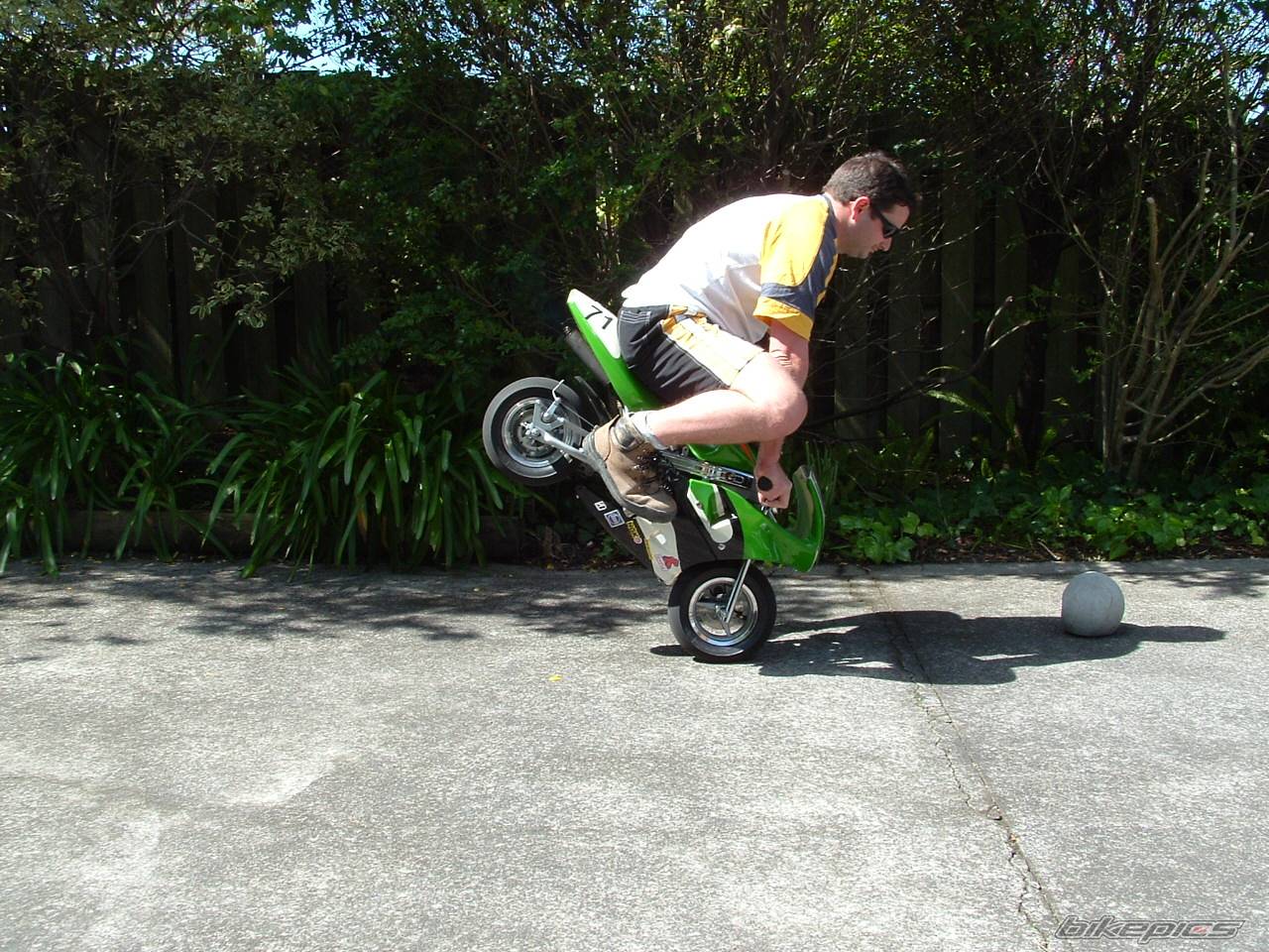 Photo 256305
