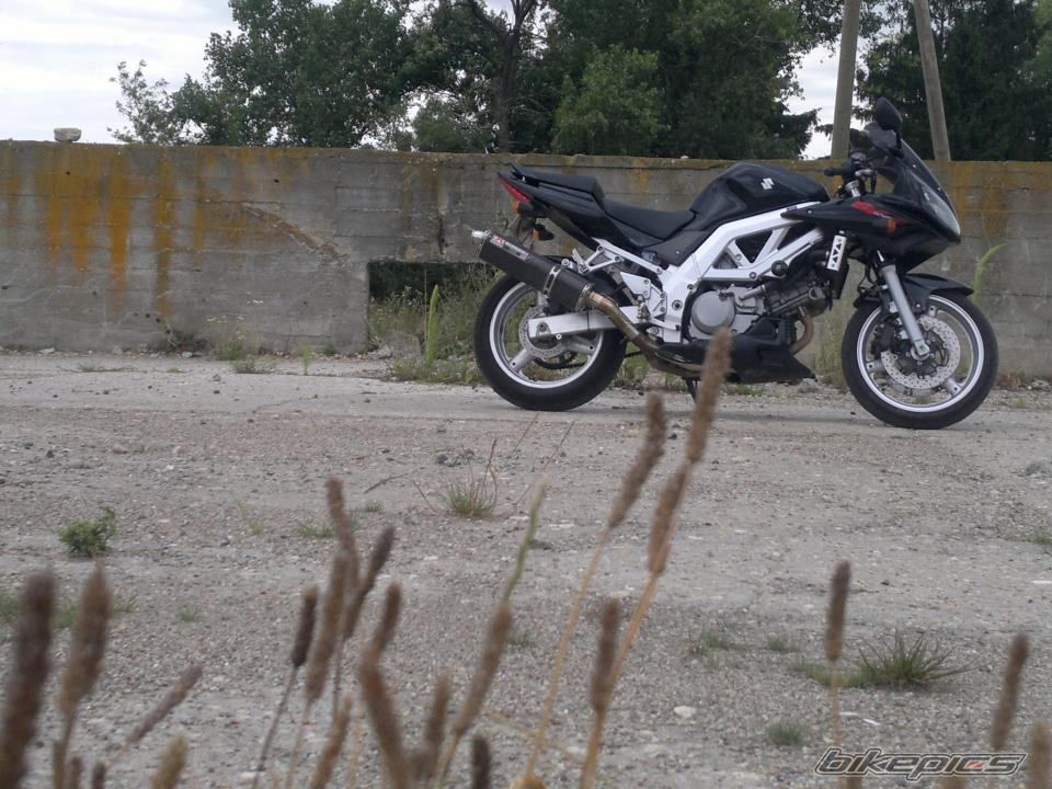 Photo 2563056
