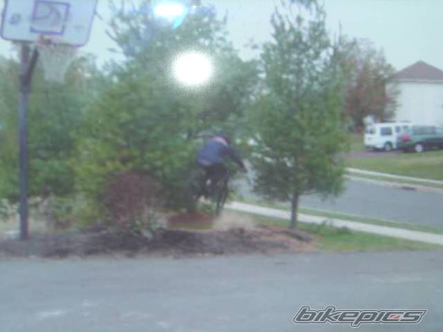 Photo 256309