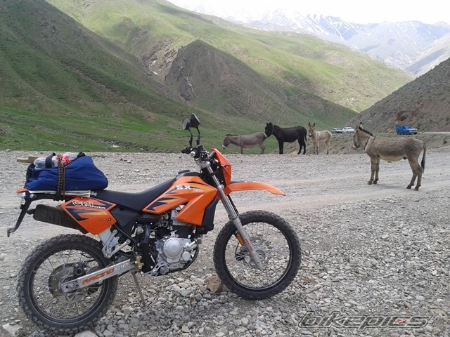 Photo 2563106