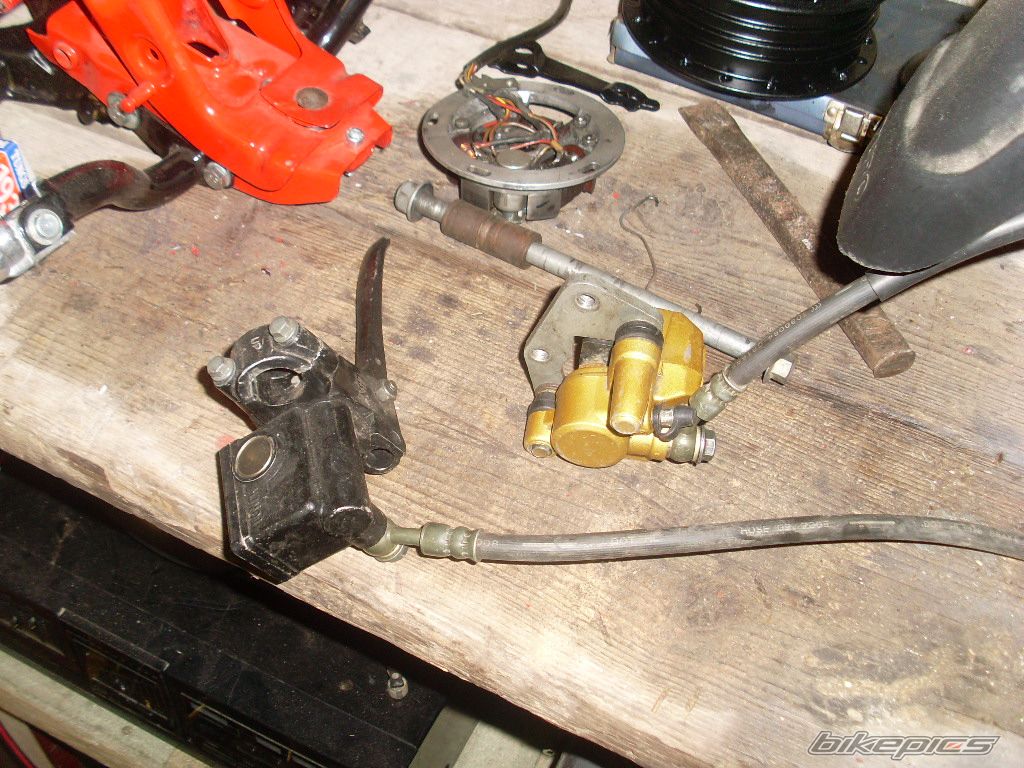 Photo 2563157