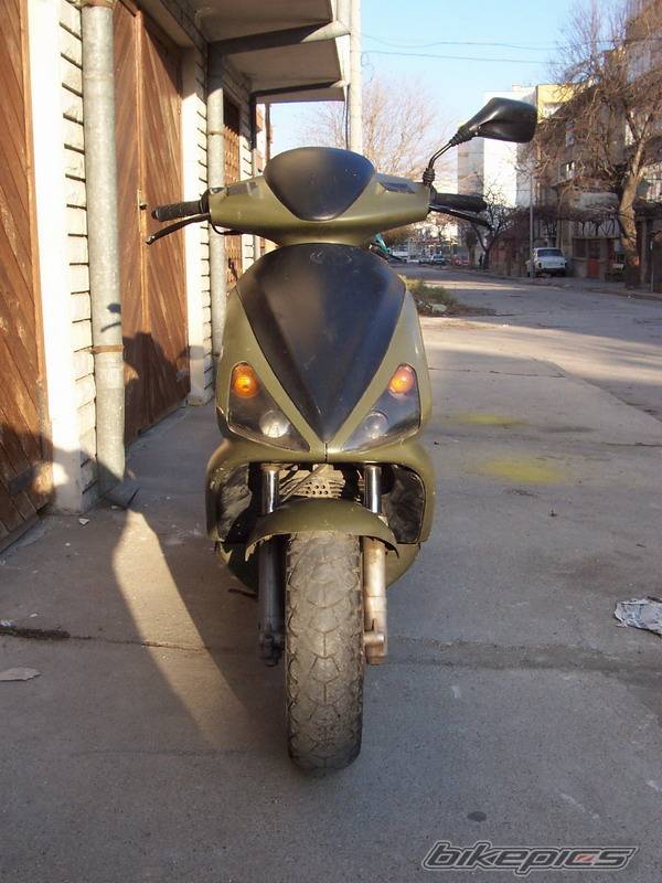 Photo 256317