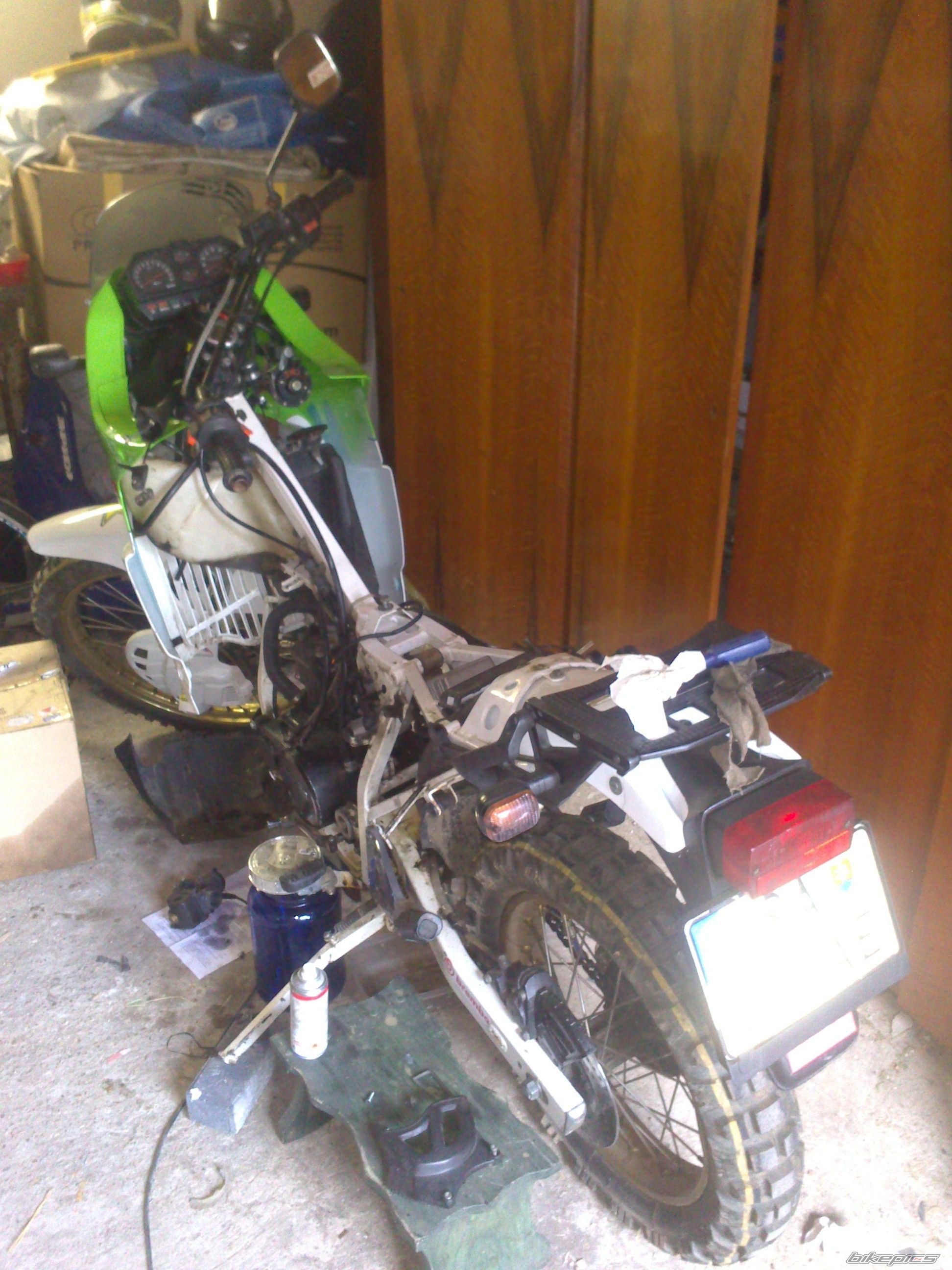 Photo 2563193