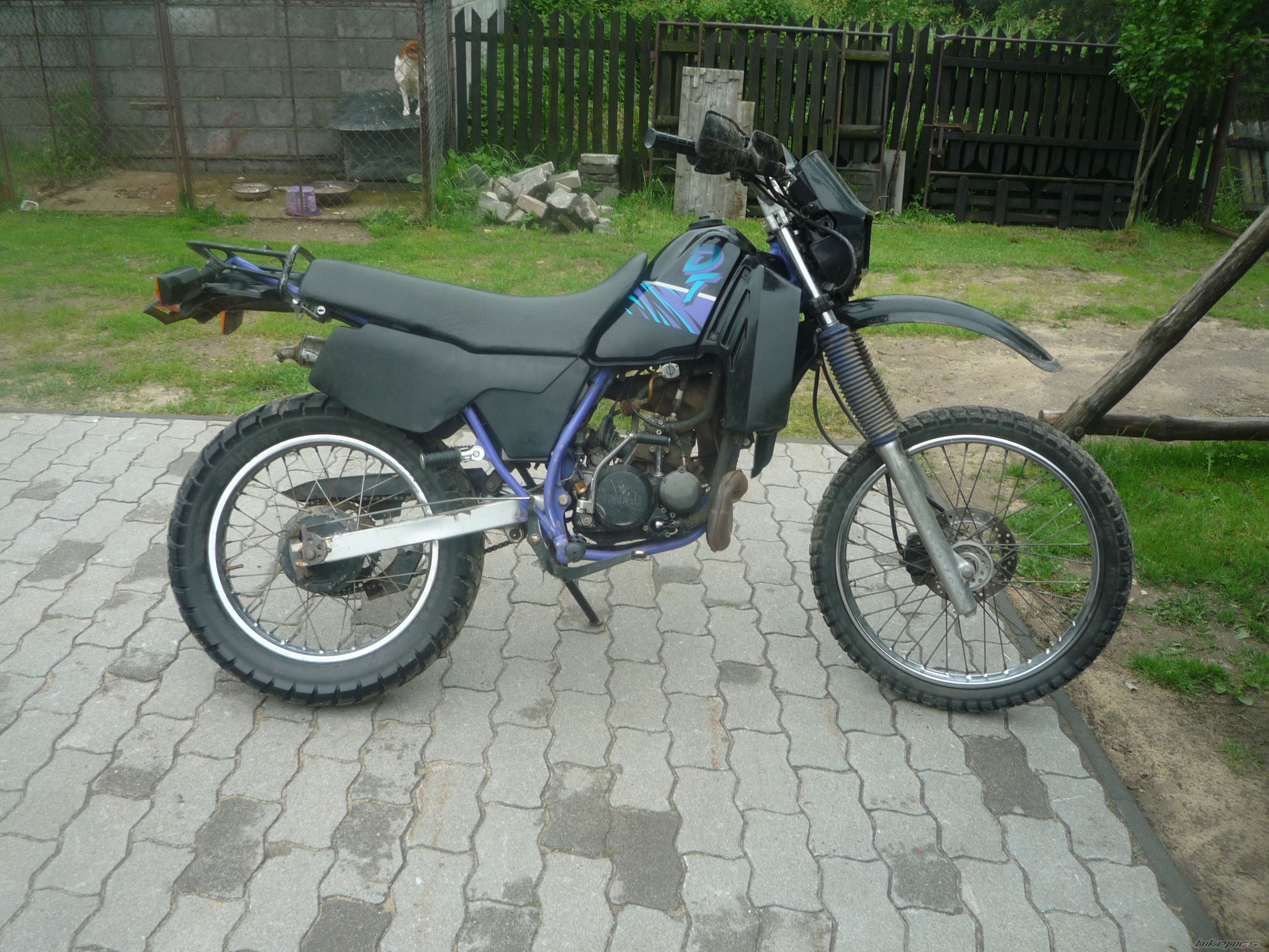 Photo 2563213