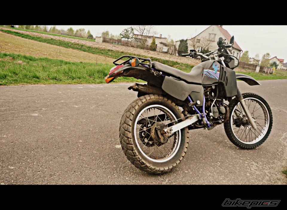 Photo 2563217