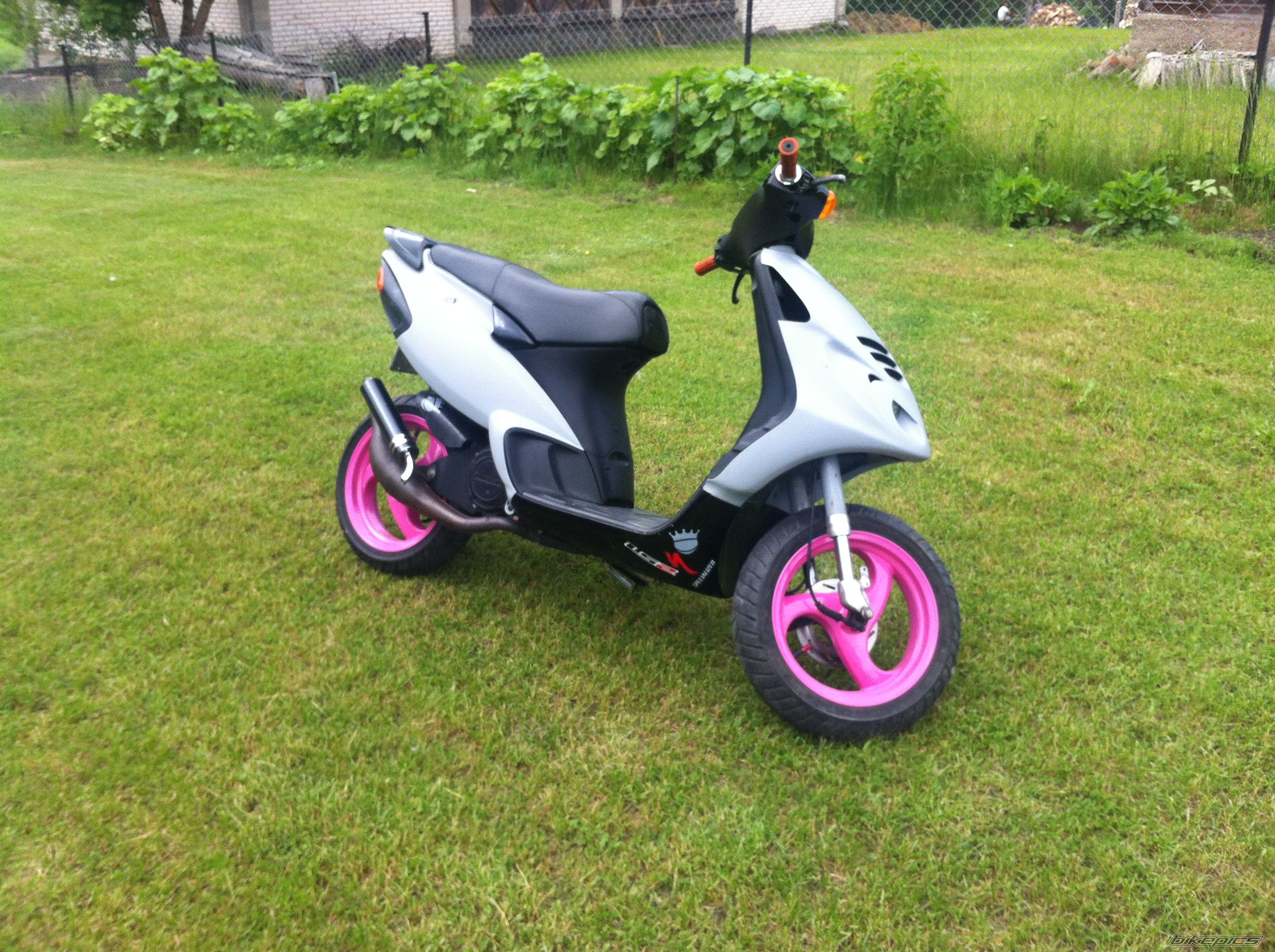 Photo 2563240