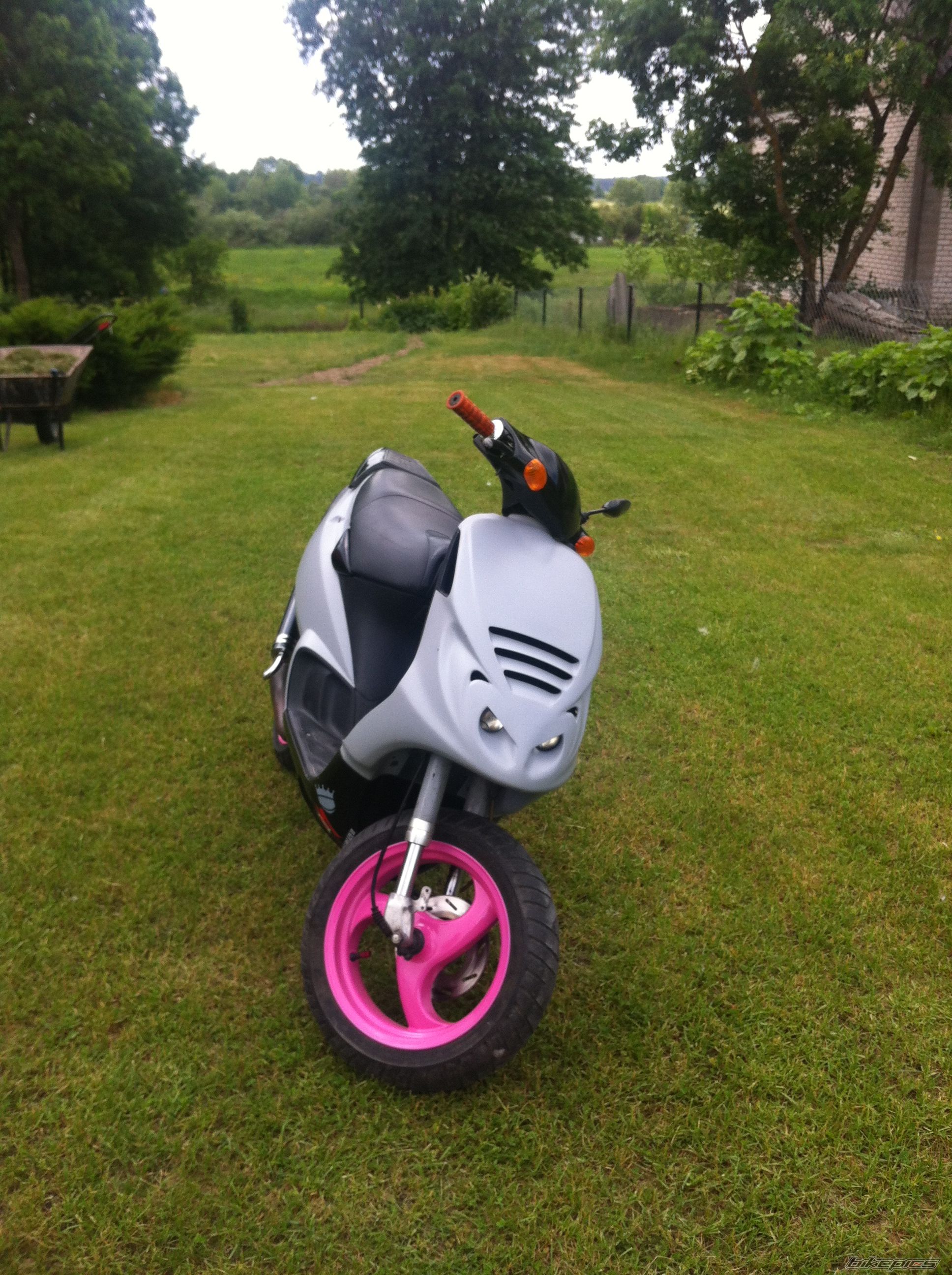 Photo 2563241