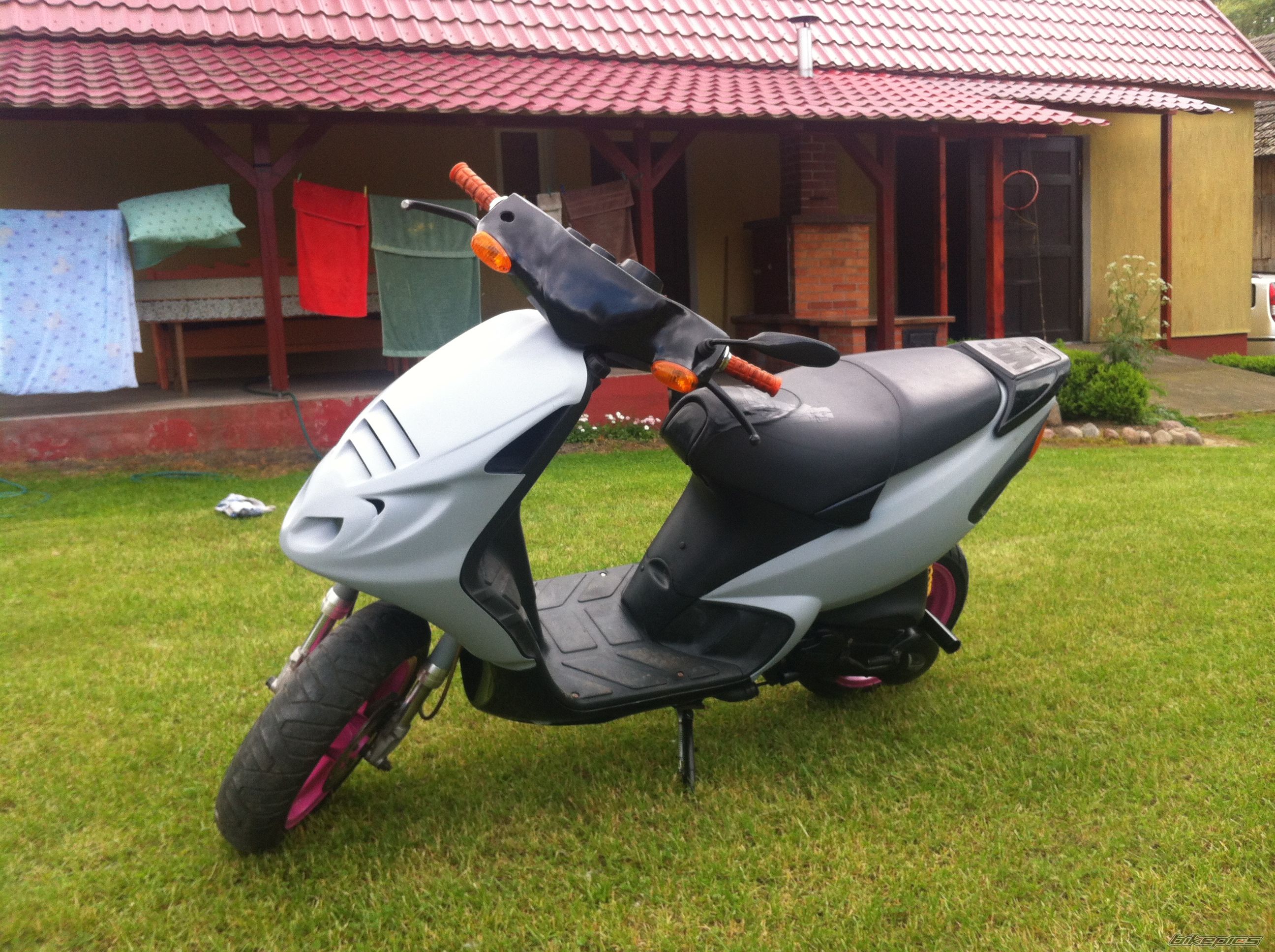 Photo 2563243